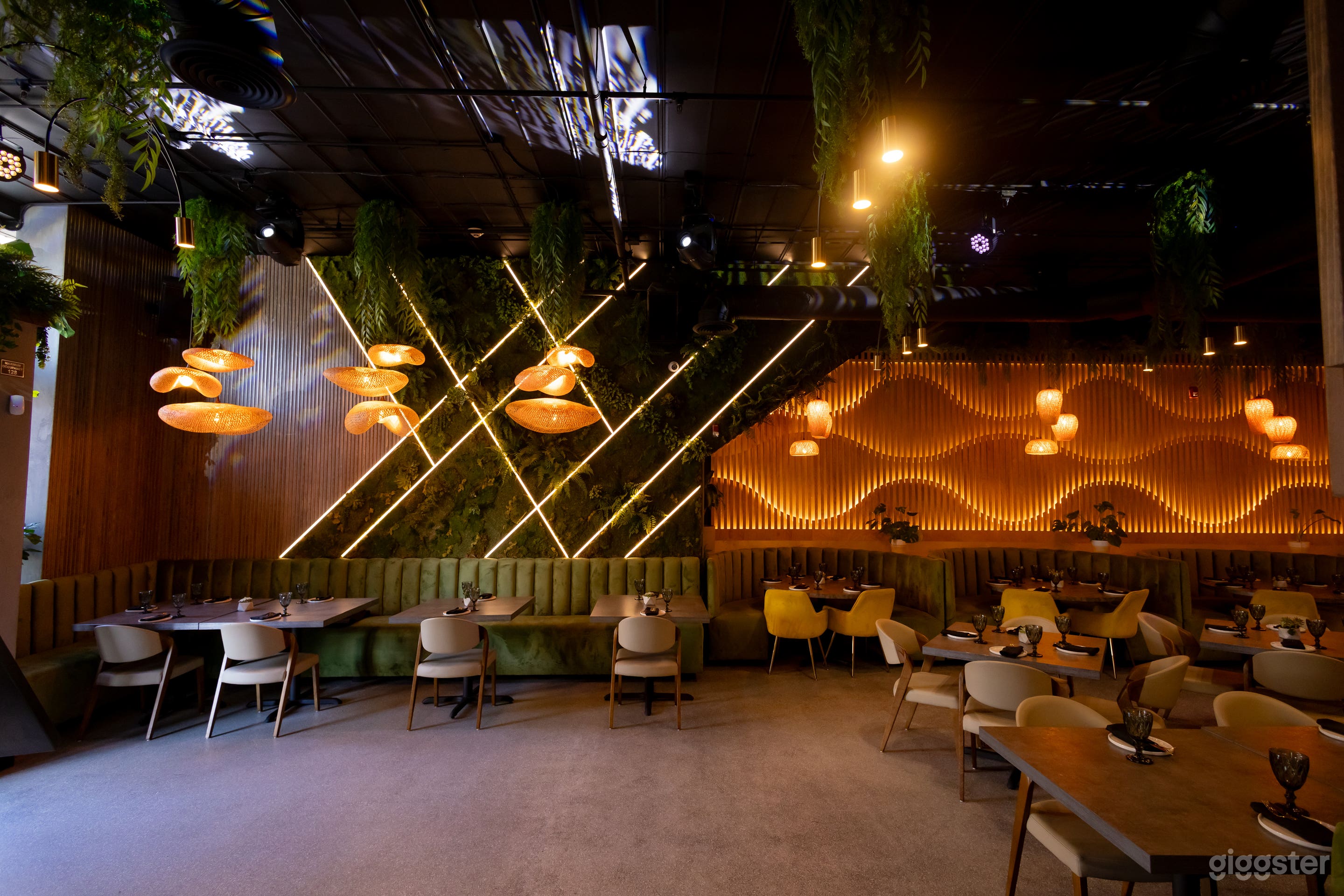 Luxury Restaurant for filming  Photo 3