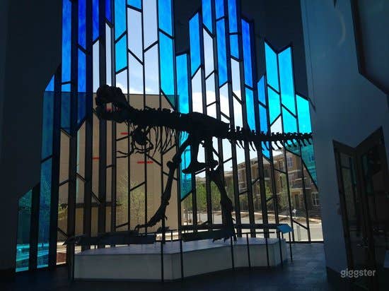 Discovery Room Photo 2