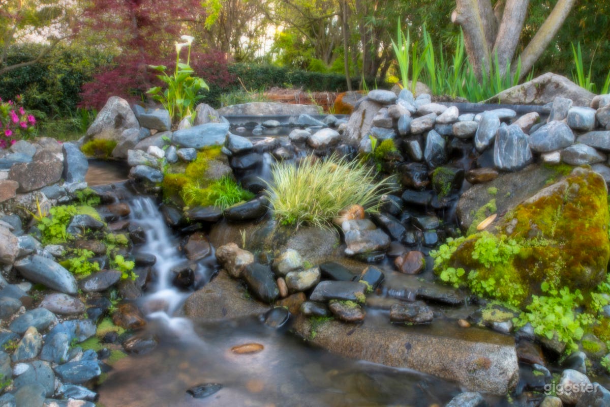Shinzen Japanese Garden, Fresno, CA Photo 2