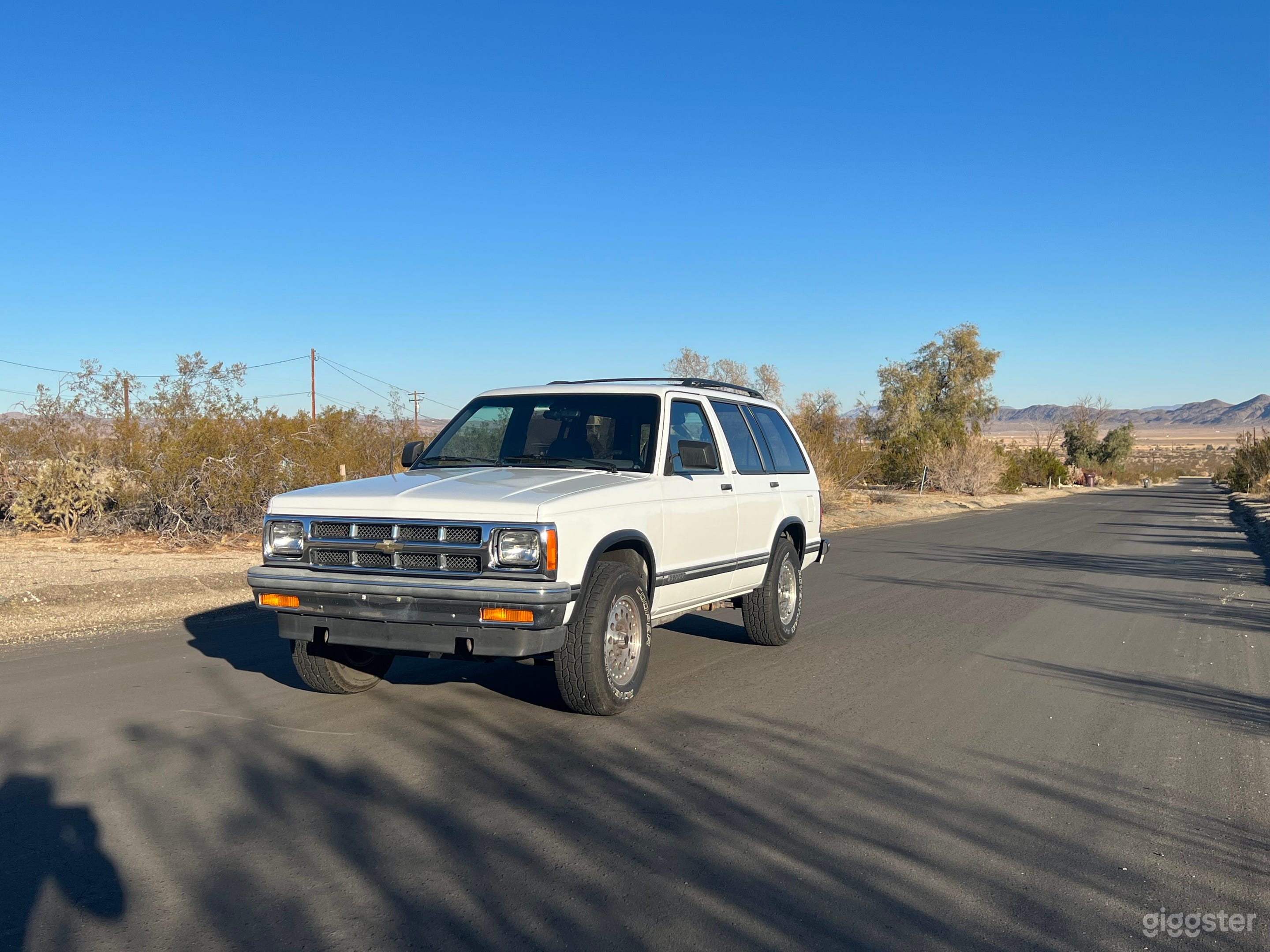 VINTAGE 4x4 BLAZER Photo 4