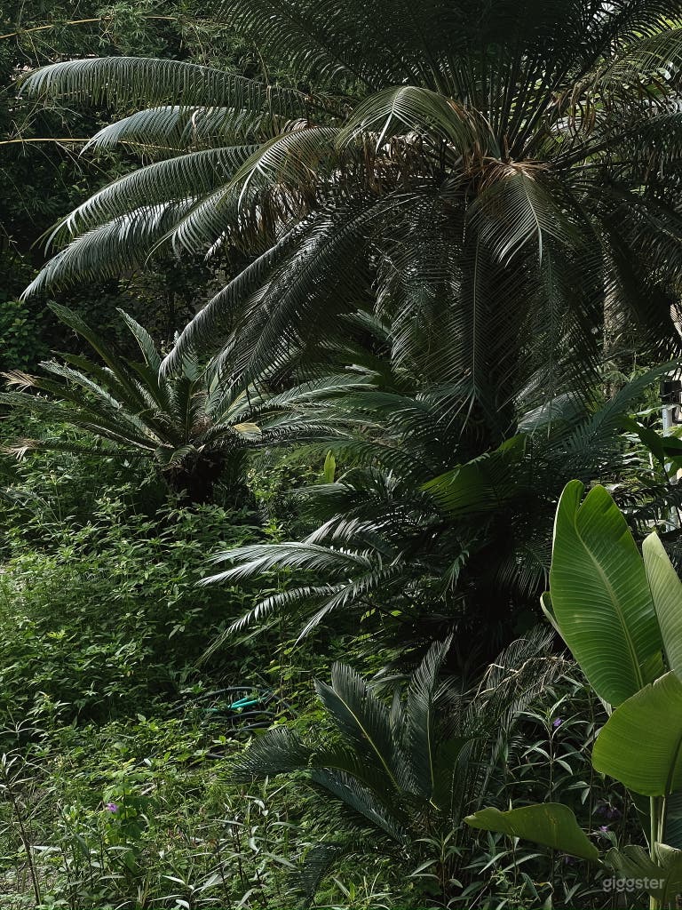  Tropical Pool in Gainesville 