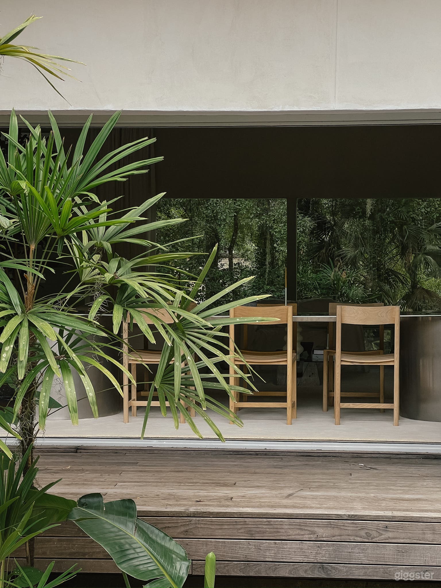 Tropical Pool in Gainesville Photo 4