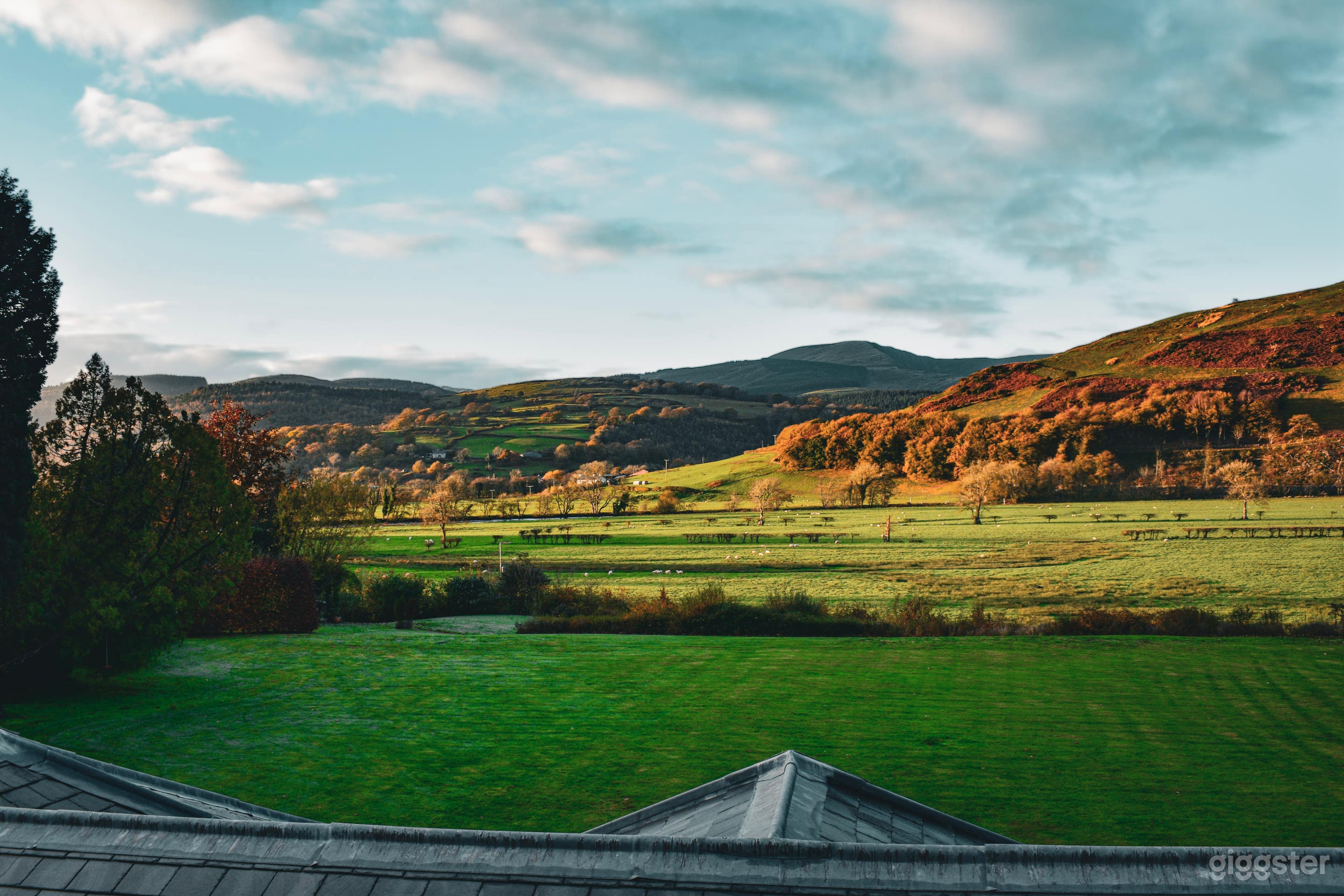 The Wagner Suite Photo 2