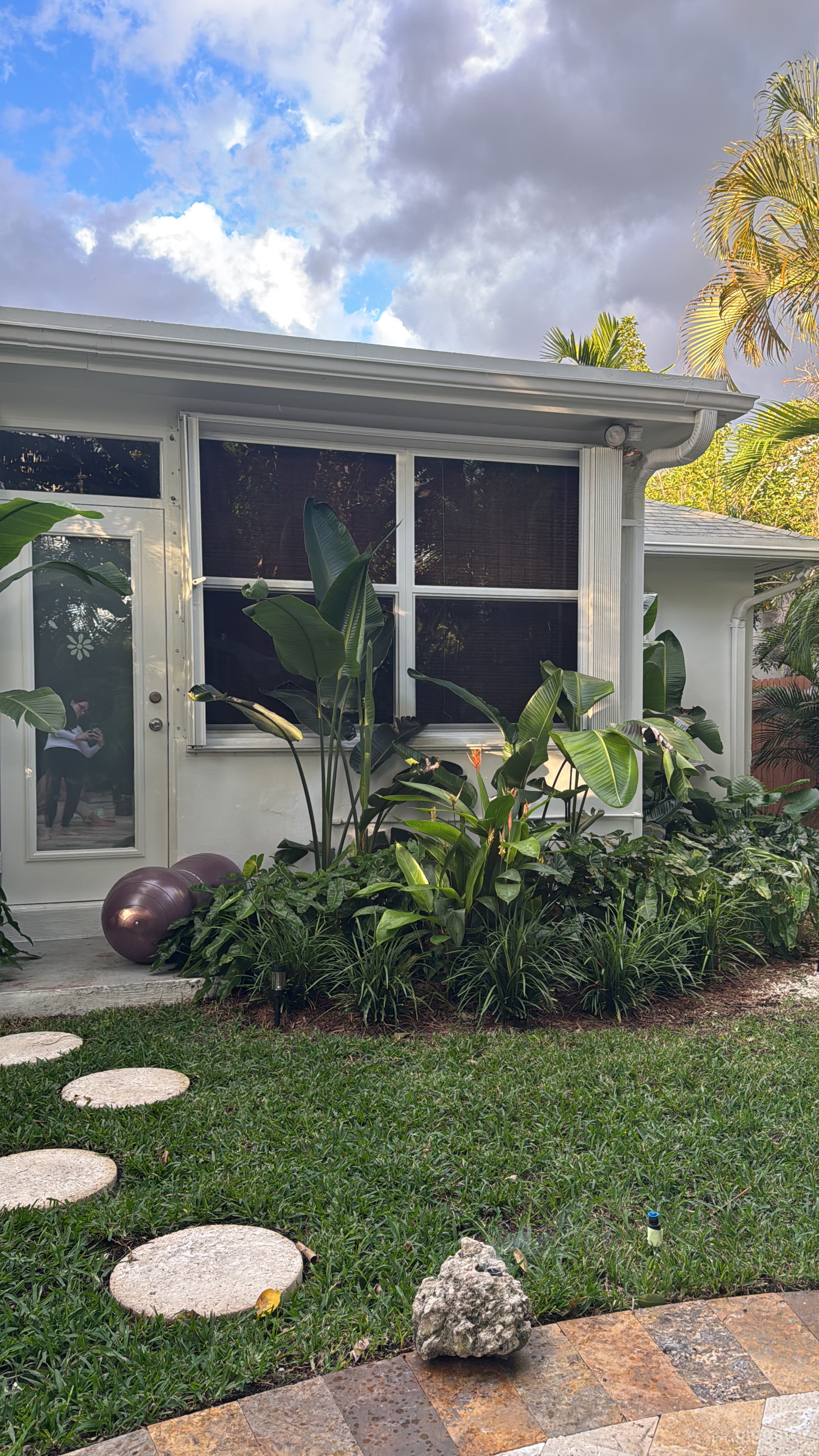 Unique travertine Spiral under ancient tree Photo 3
