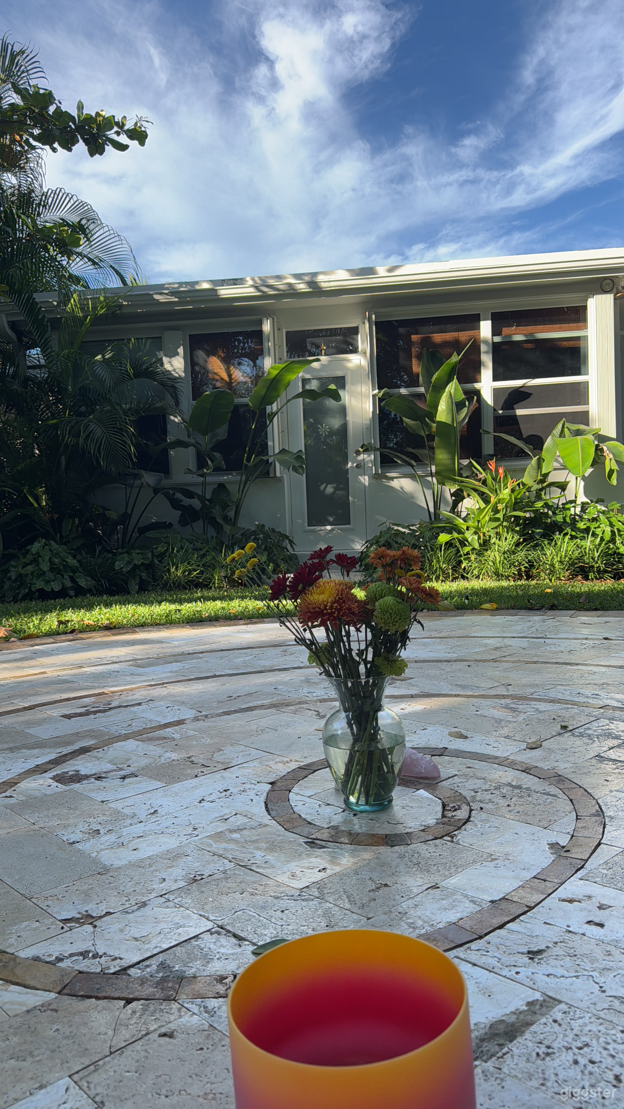 Unique travertine Spiral under ancient tree Photo 2