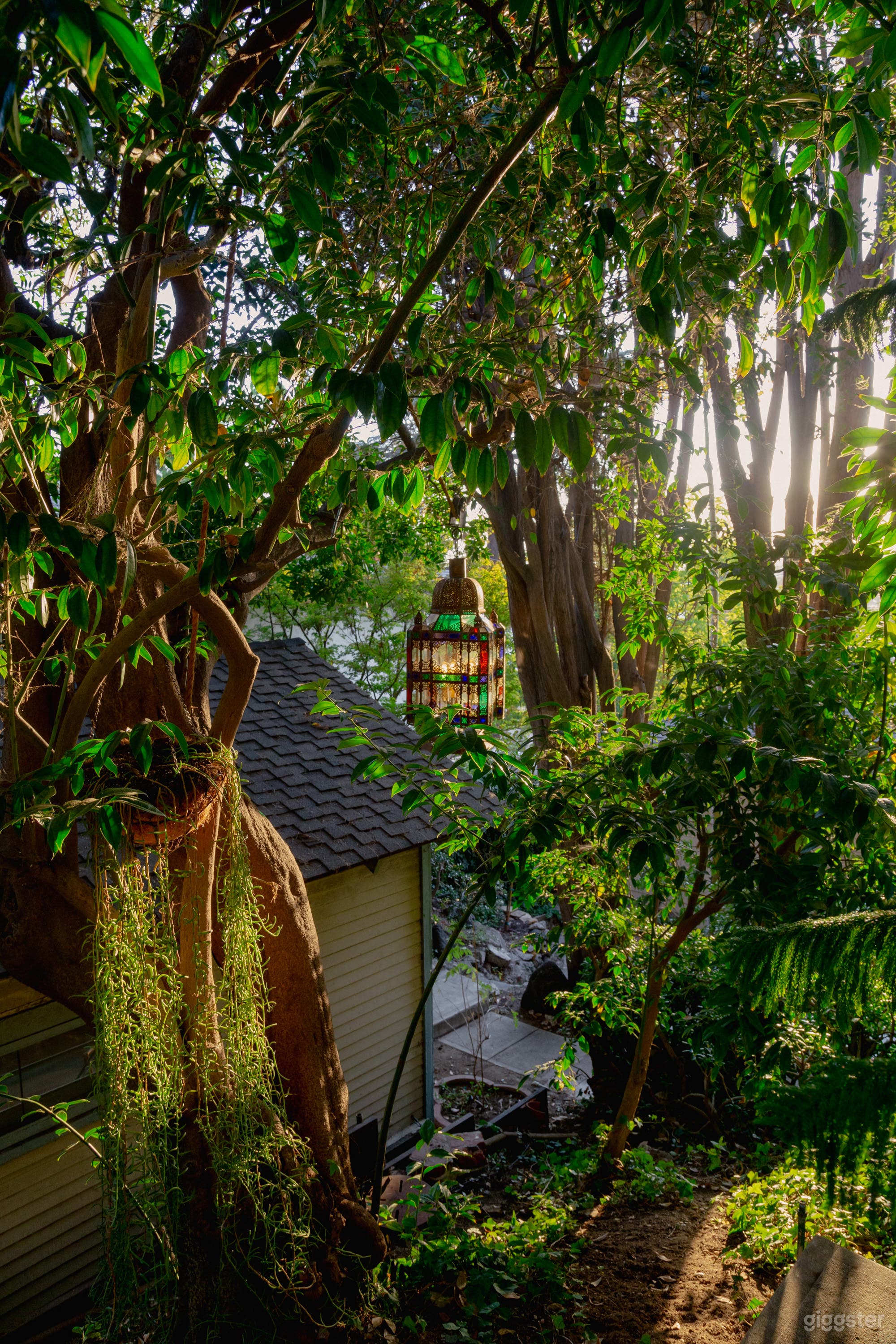 Quaint cabin, cave and nature-filled grounds Photo 1