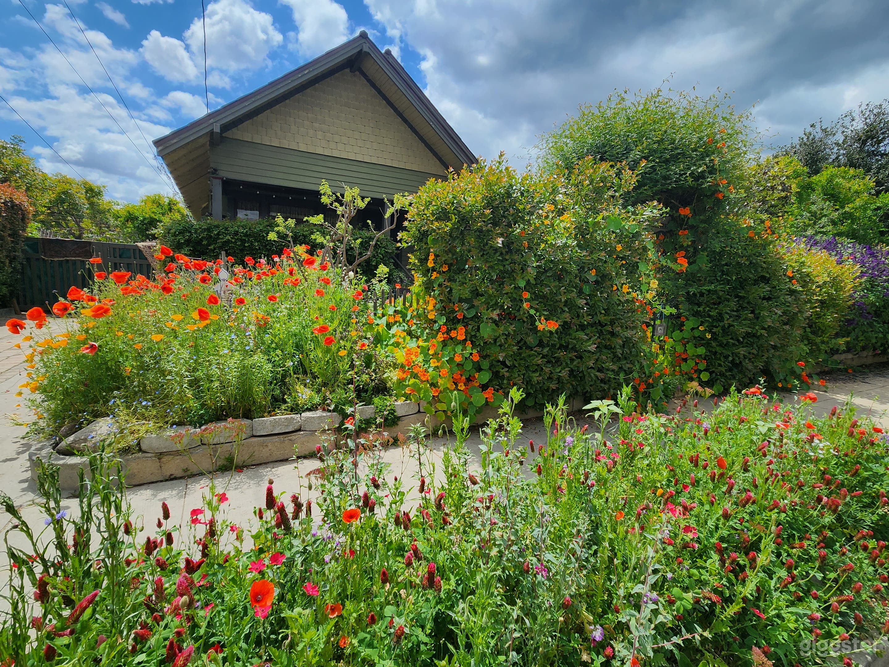 Charming Urban Farm Garden with Rustic House Photo 3