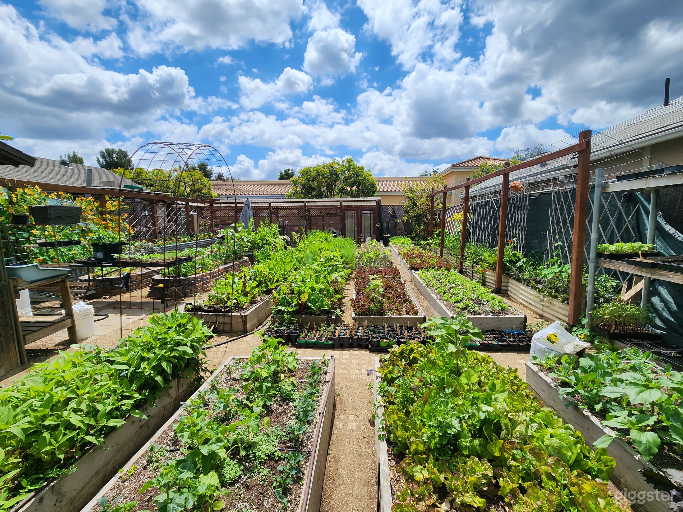 Charming Urban Farm Garden with Rustic House Photo 1
