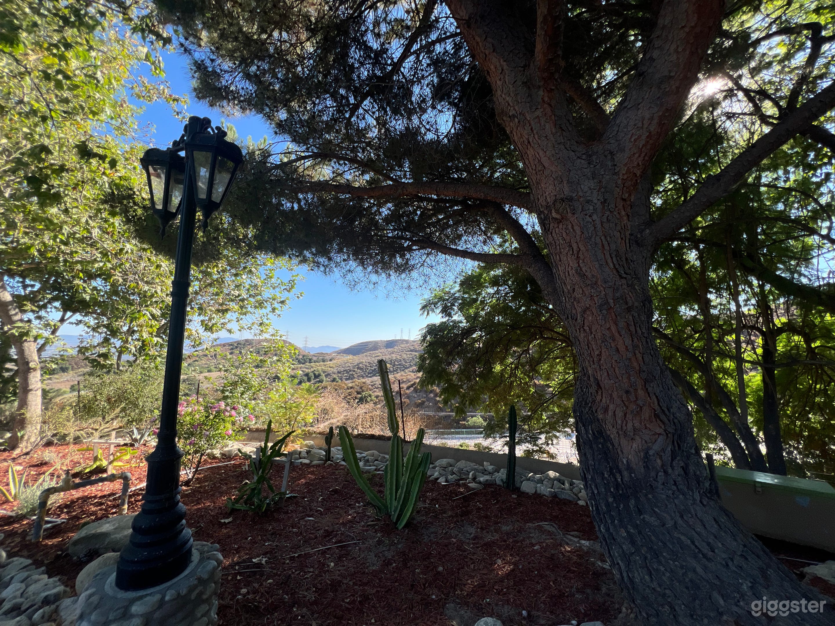 Healing Hills Ranch, 400 acres of beautiful land Photo 3