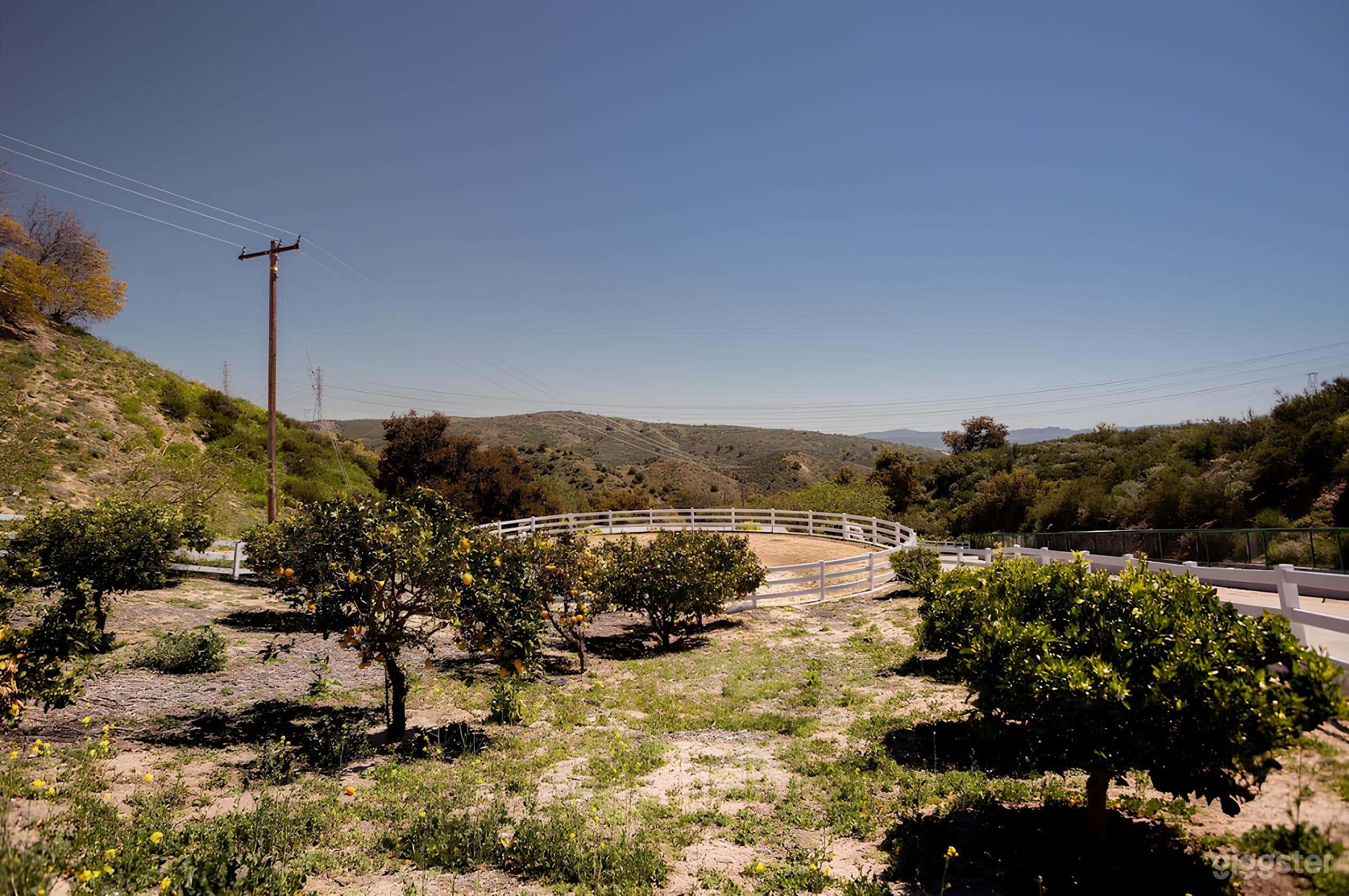 Healing Hills Ranch, 400 acres of beautiful land Photo 4