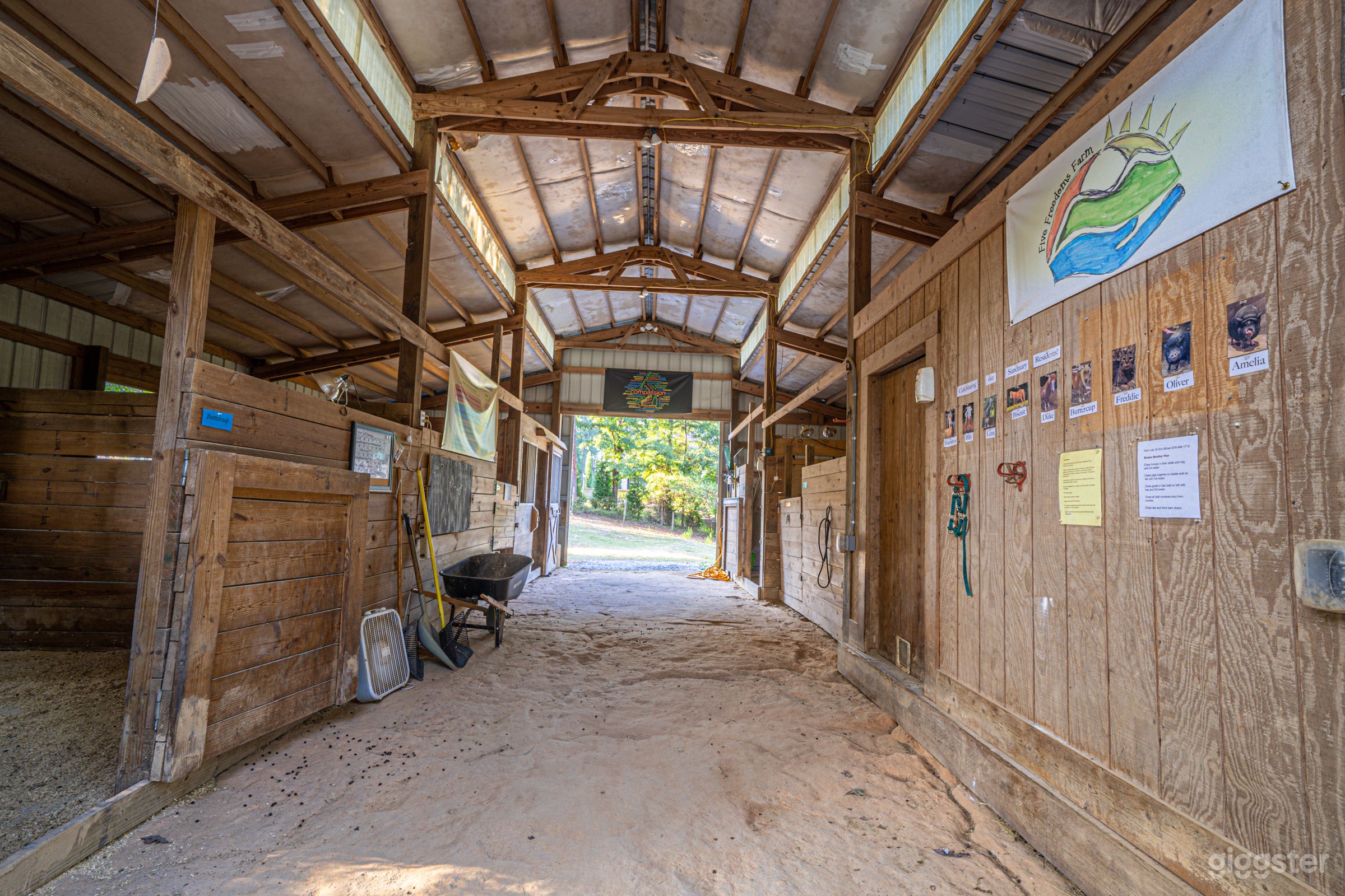 Suburban/Country Homestead on 3.2 acres with barn Photo 4
