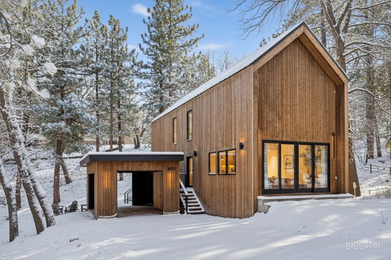  Designer Scandinavian Cabin in the Pines 