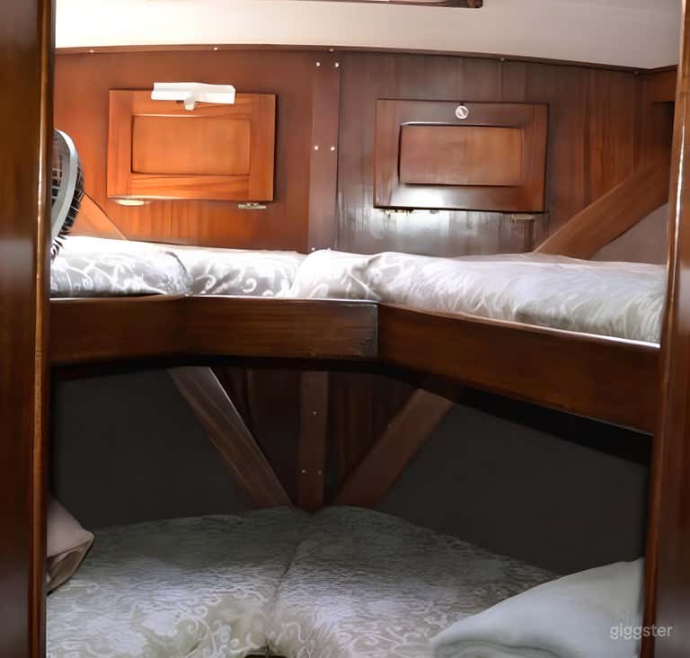  Reel Champion 46 ft FISHING CHARTER 