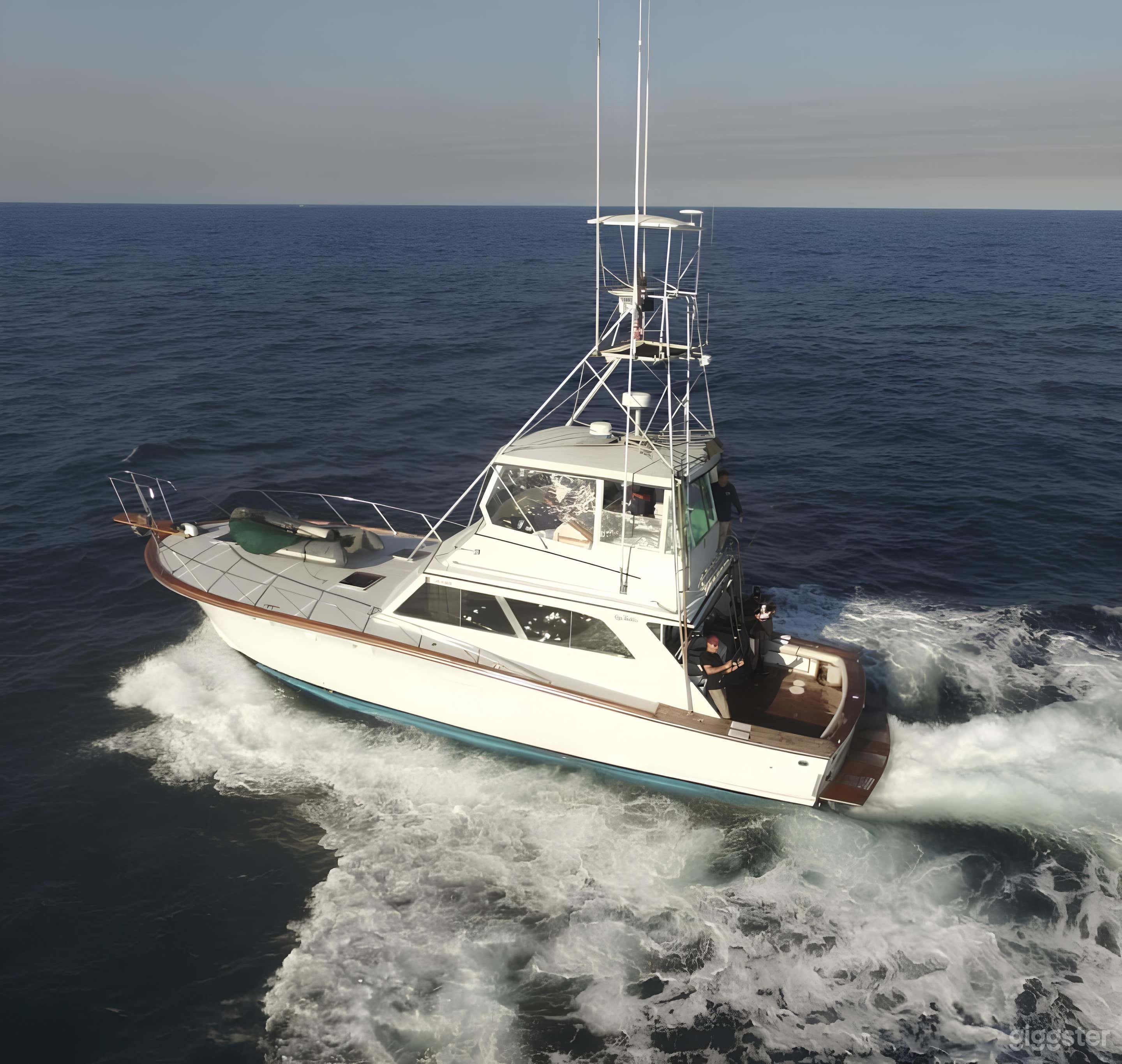 Reel Champion 46 ft FISHING CHARTER Photo 2