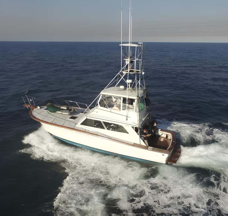  Reel Champion 46 ft FISHING CHARTER 