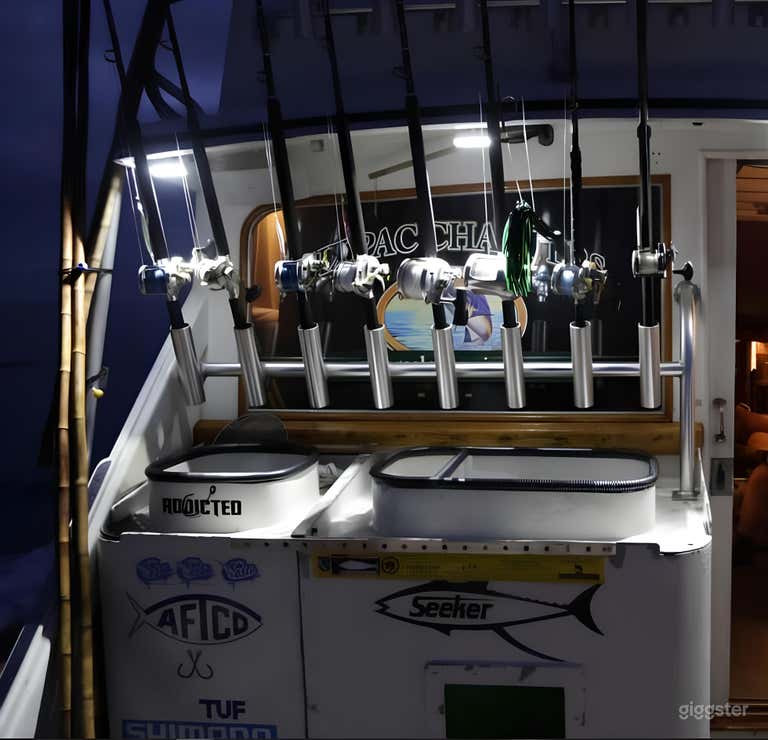  Reel Champion 46 ft FISHING CHARTER 