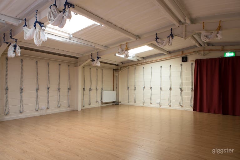  Showing skylights, ceiling and steel beams (aerial hammocks can be removed) and curtains over double doors to adjacent room (separate listing) 