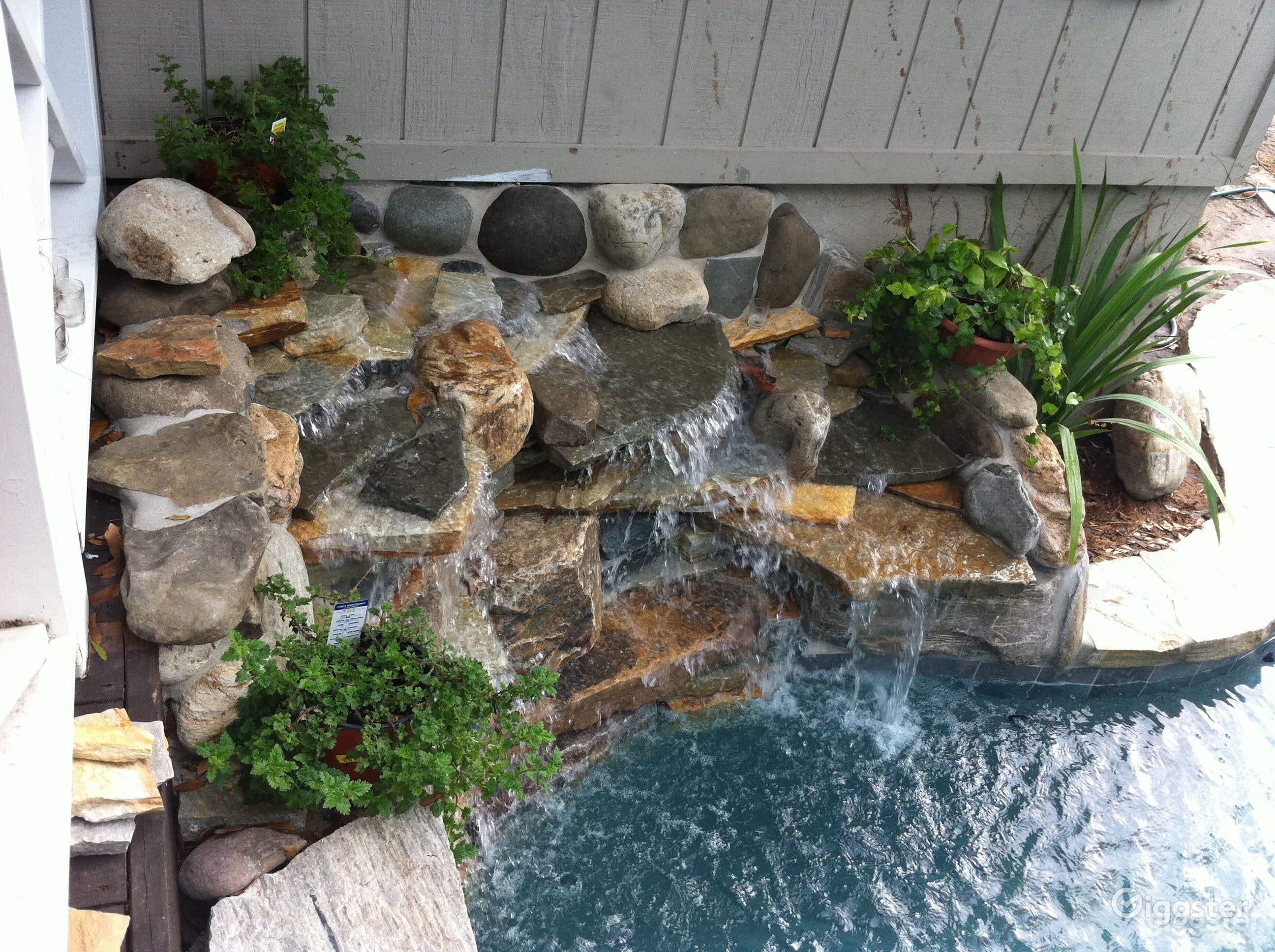 Beautiful backyard Pool with oak trees Photo 4