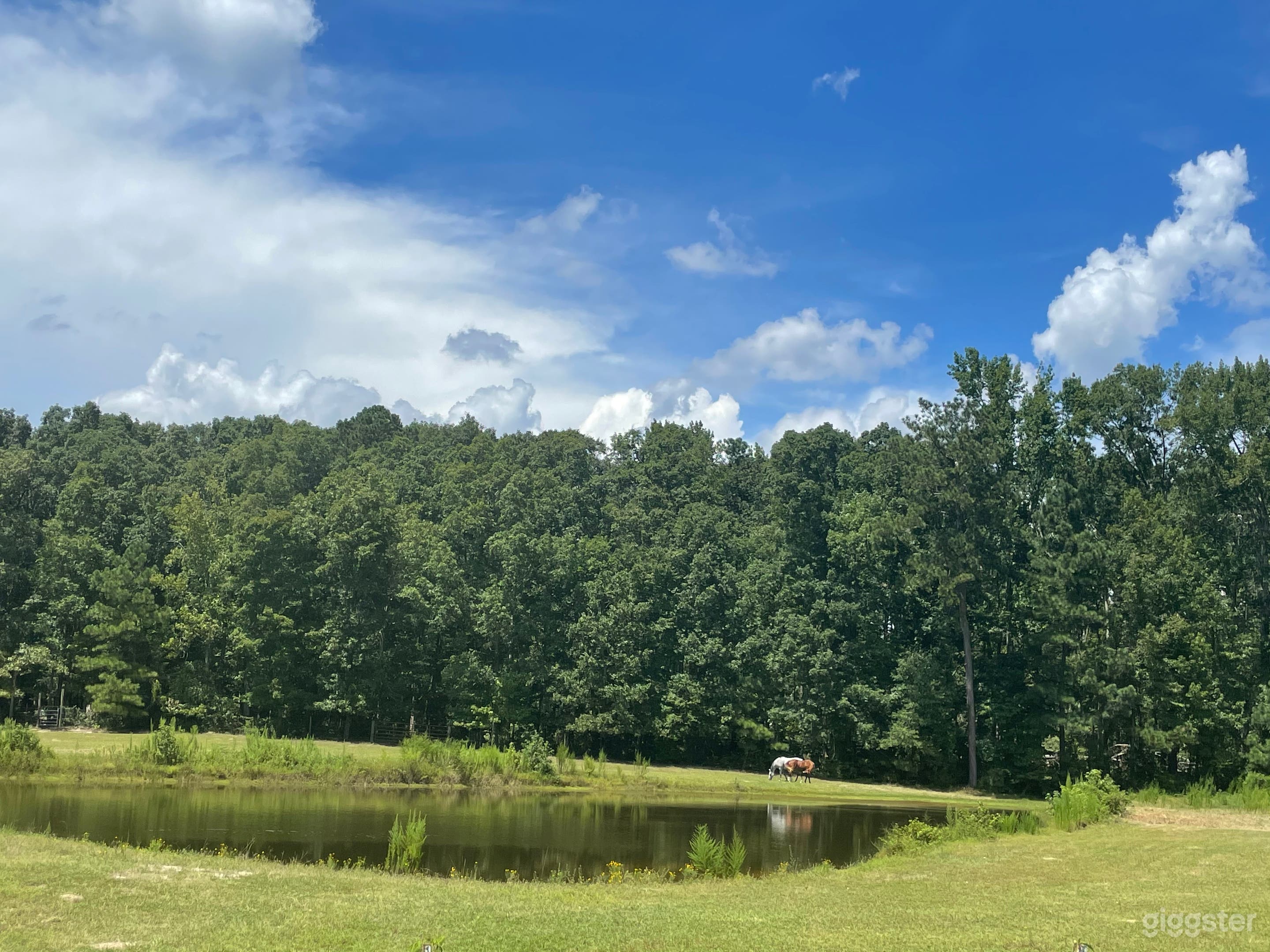 STUNNING 13 ACRES OUTSIDE OF ATL Photo 4