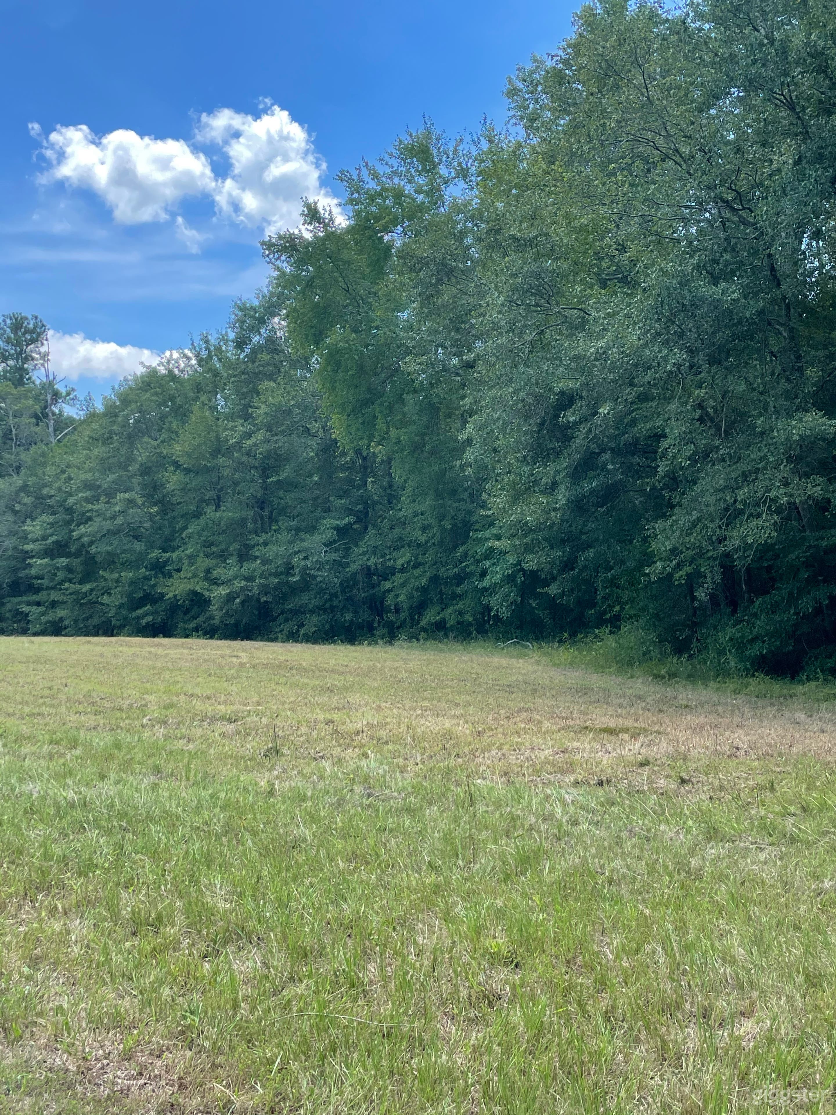 STUNNING 13 ACRES OUTSIDE OF ATL Photo 3