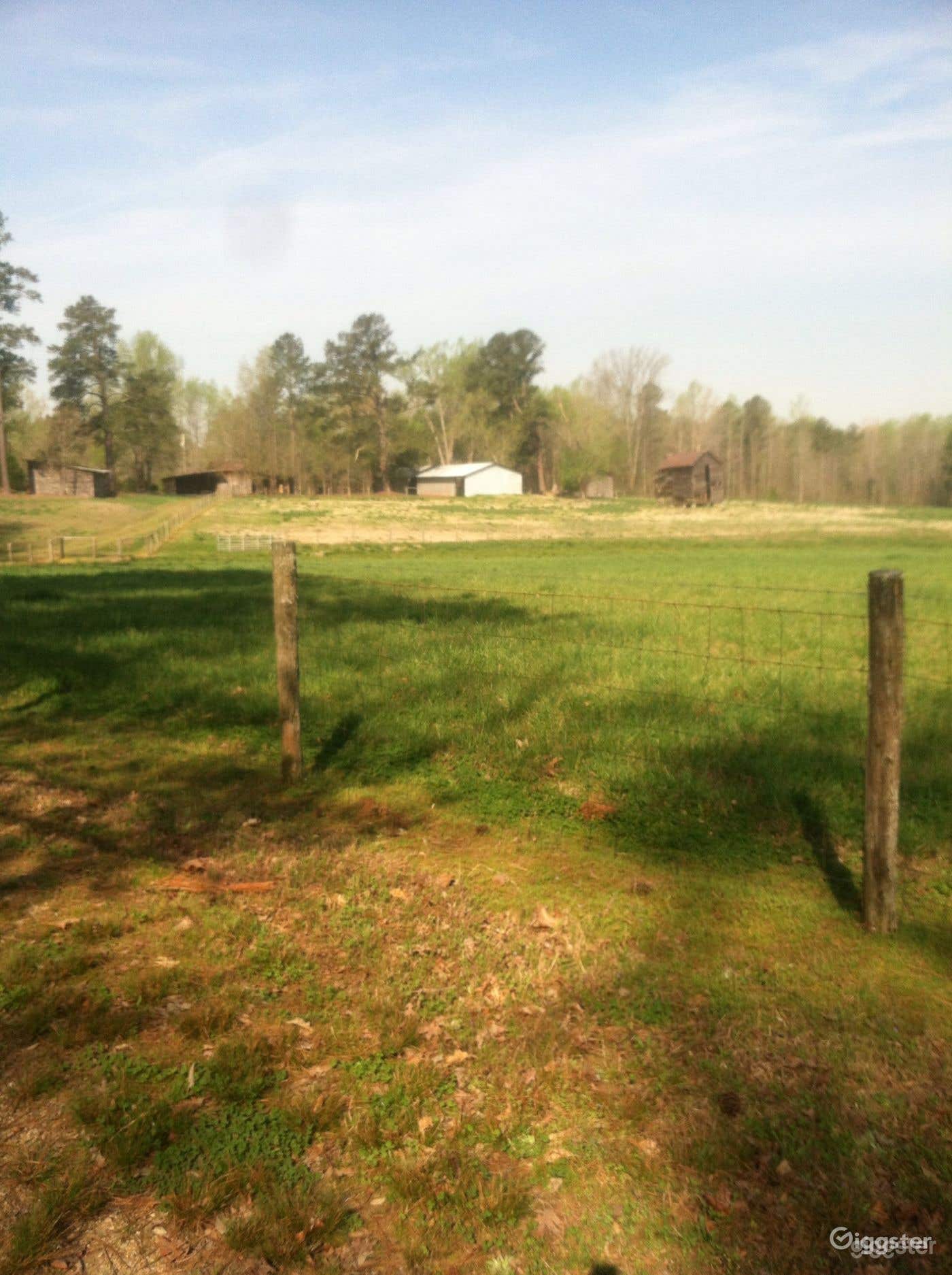 Looking onto the pastures from the wooded area