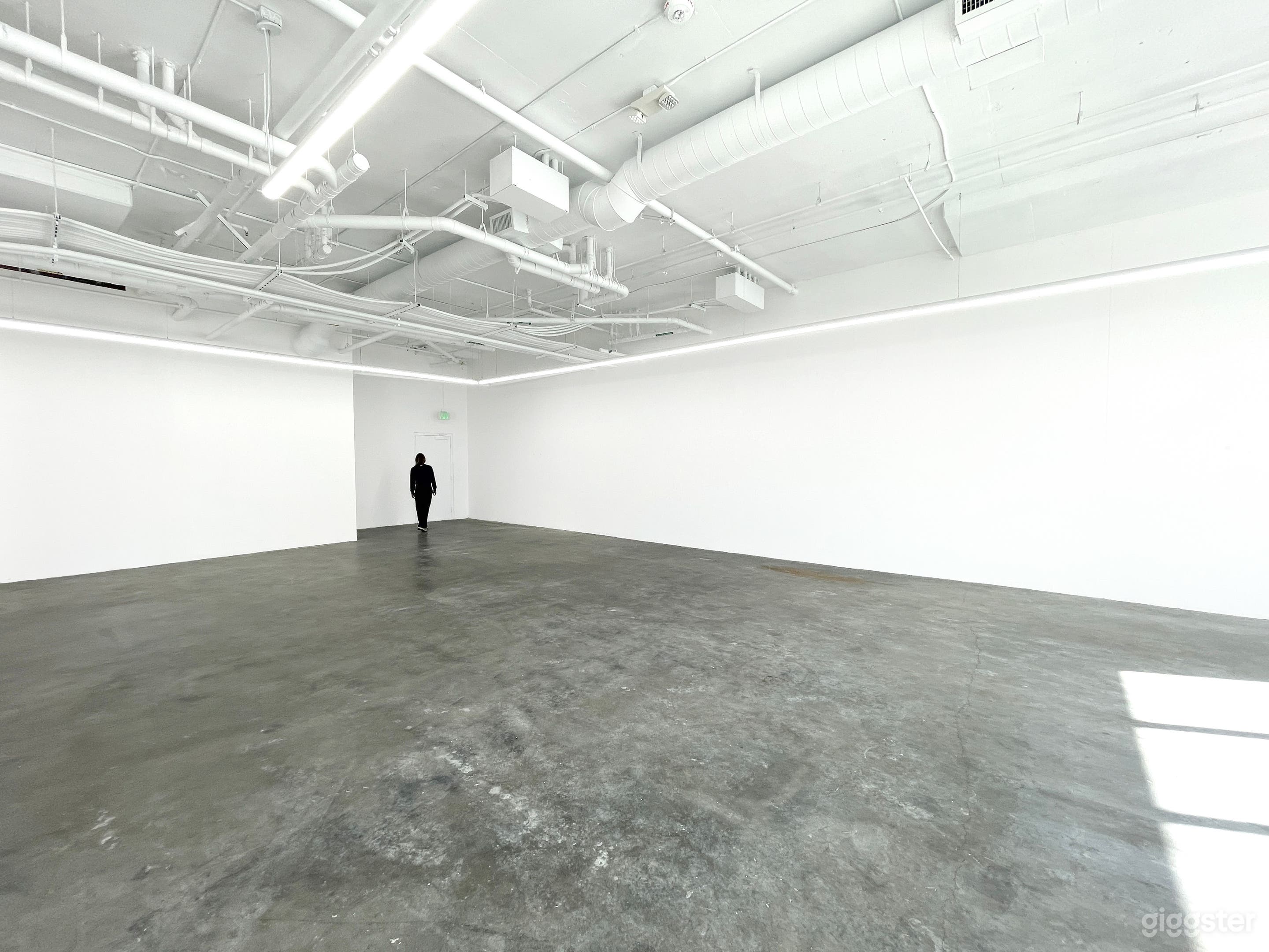 Cinematic White-Box Art Gallery in Historic West Adams Photo 4