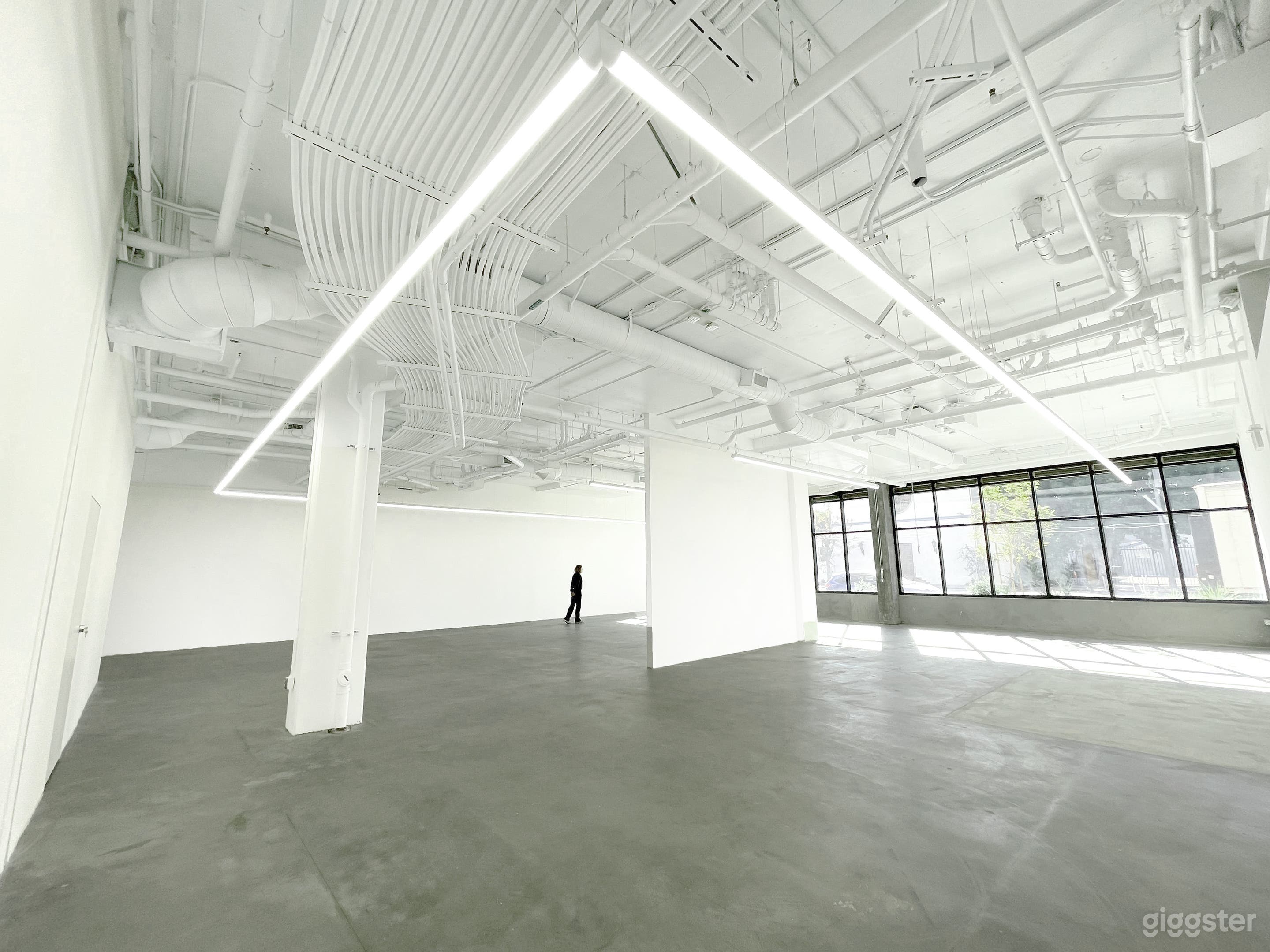 Cinematic White-Box Art Gallery in Historic West Adams Photo 2