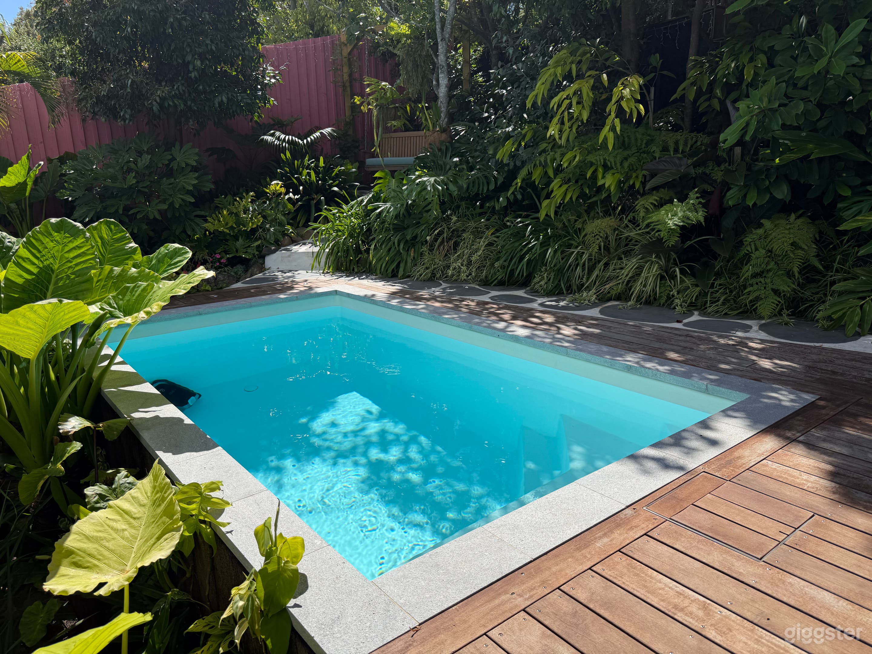 Tropical Garden Oasis with Pool & Pergola Photo 2