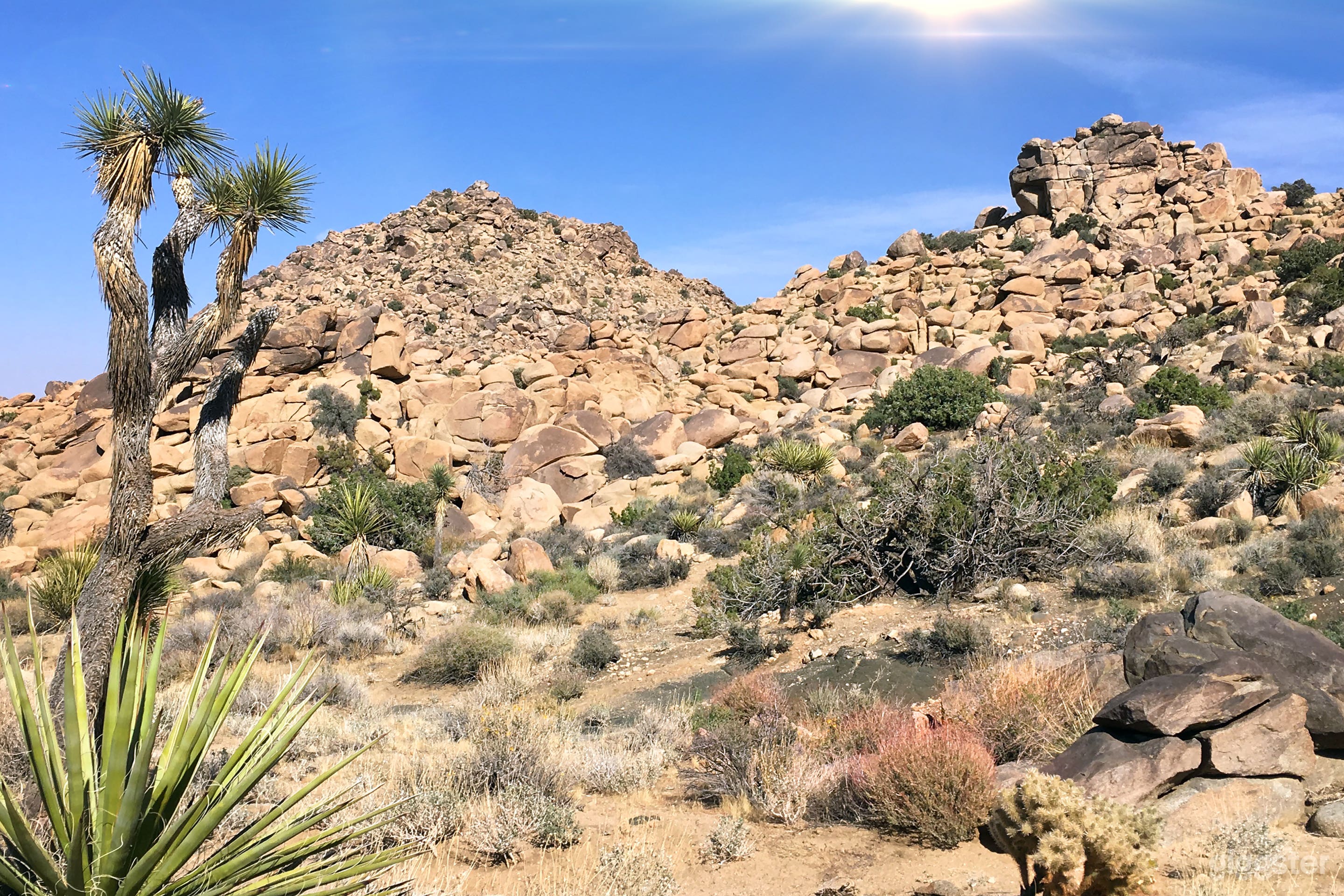 East side of the property includes these incredible boulder hills around 4,000 feet above sea level