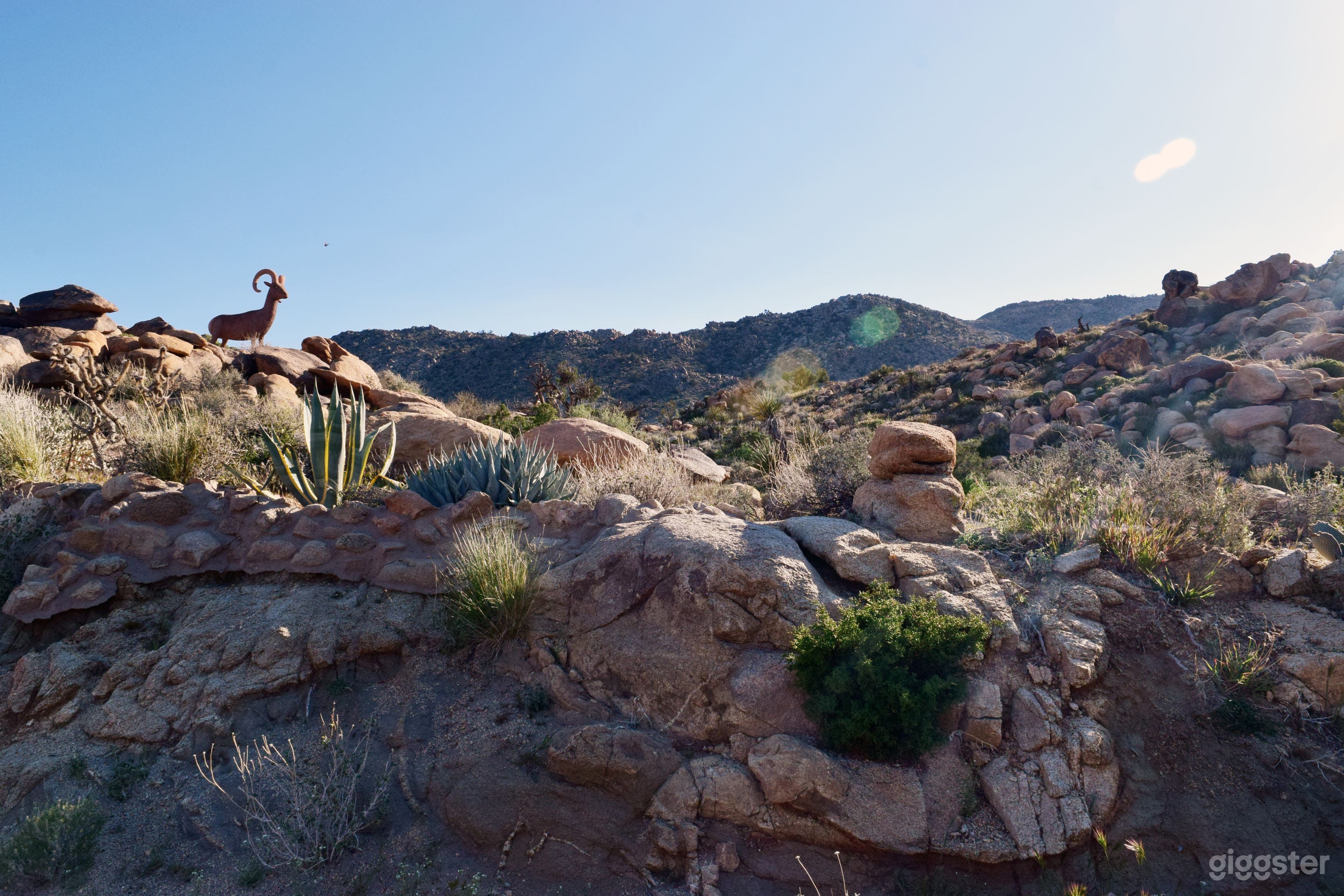 Big Horn Sheep sculpture imbedded in landscape in middle of property near home. Property in view is part of the 20 acres of site.