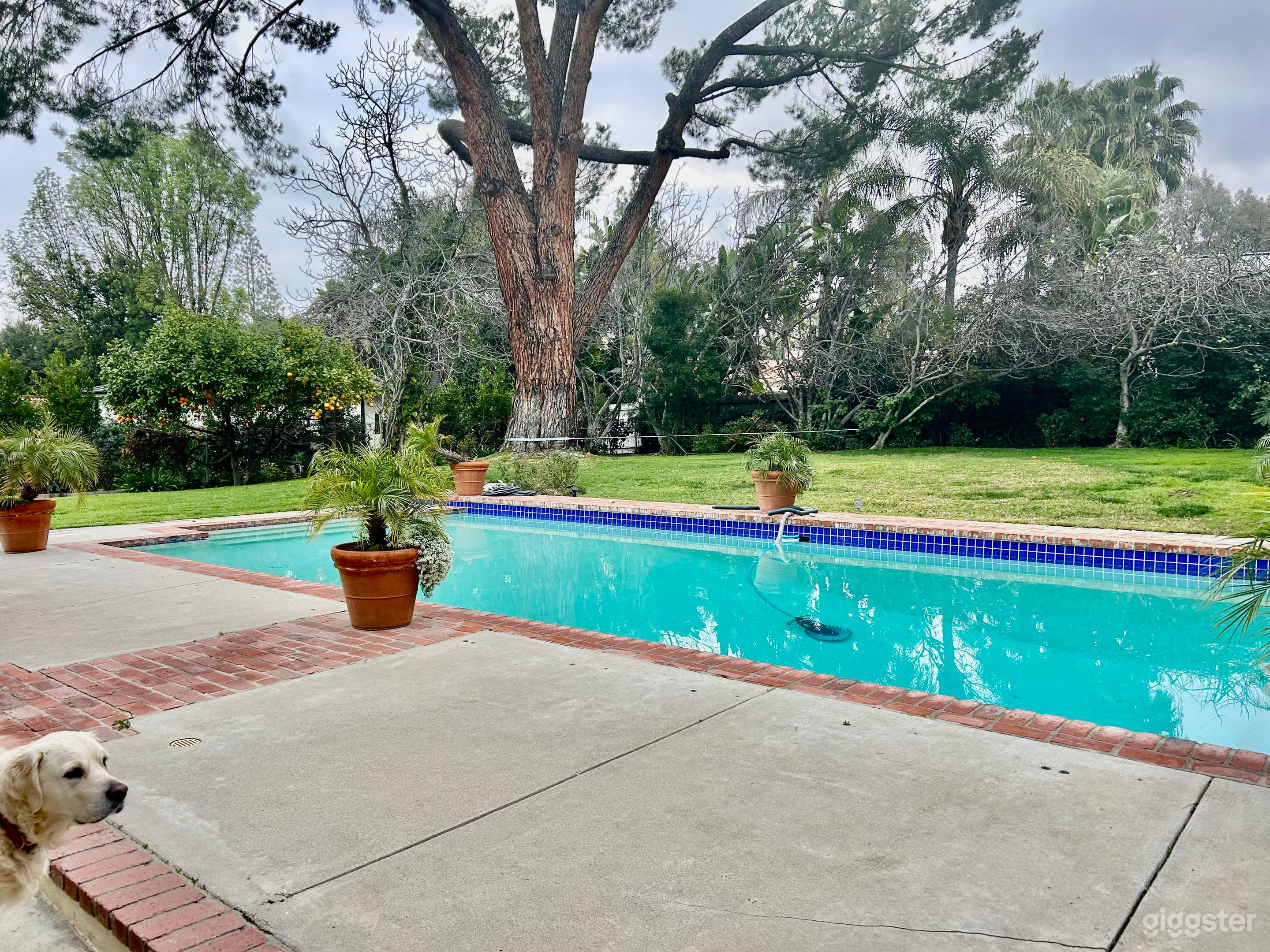 Charming Cape Cod Home for Your Next Event Photo 2