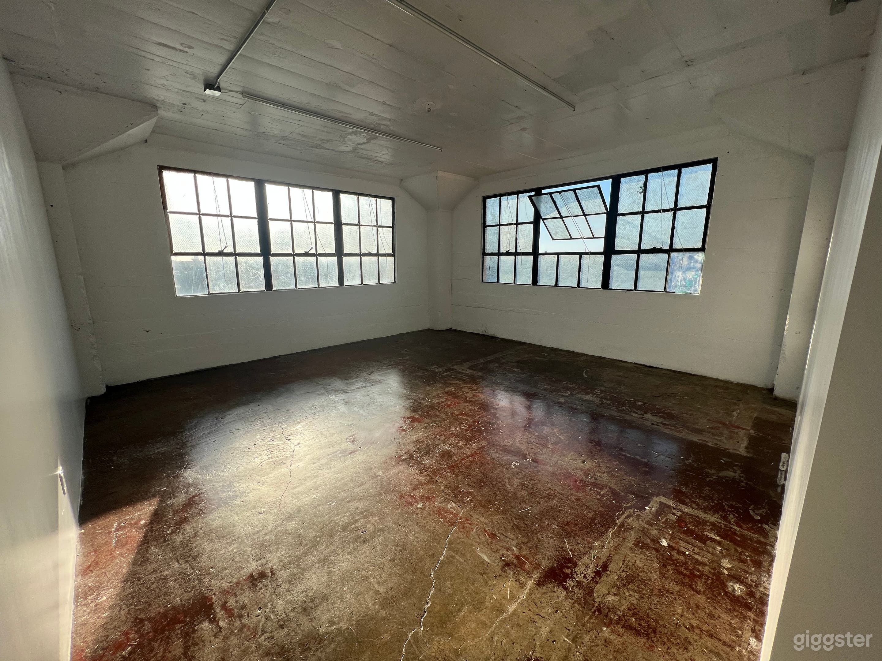 The studio in morning light 