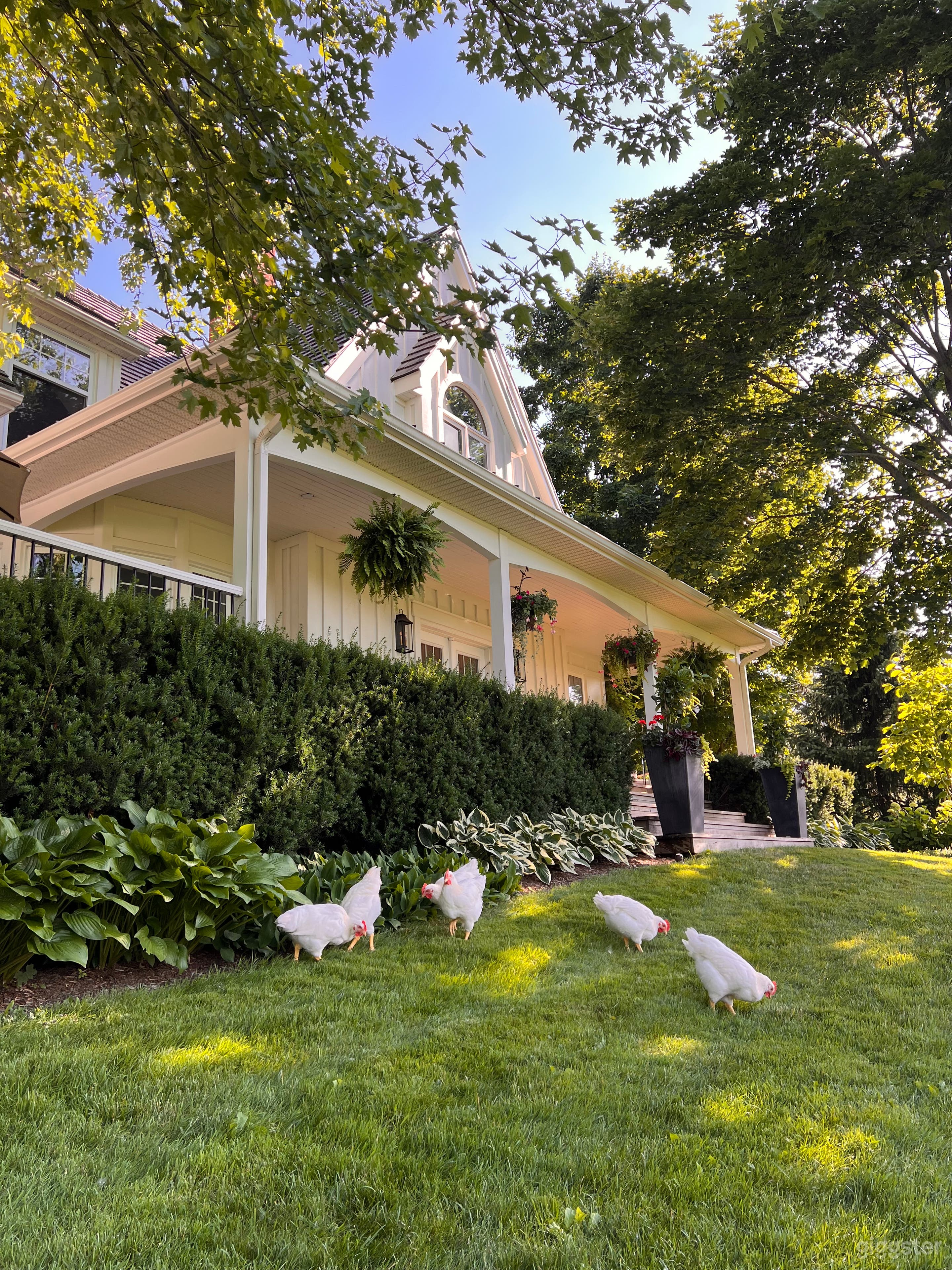 Millgrove country house Photo 3