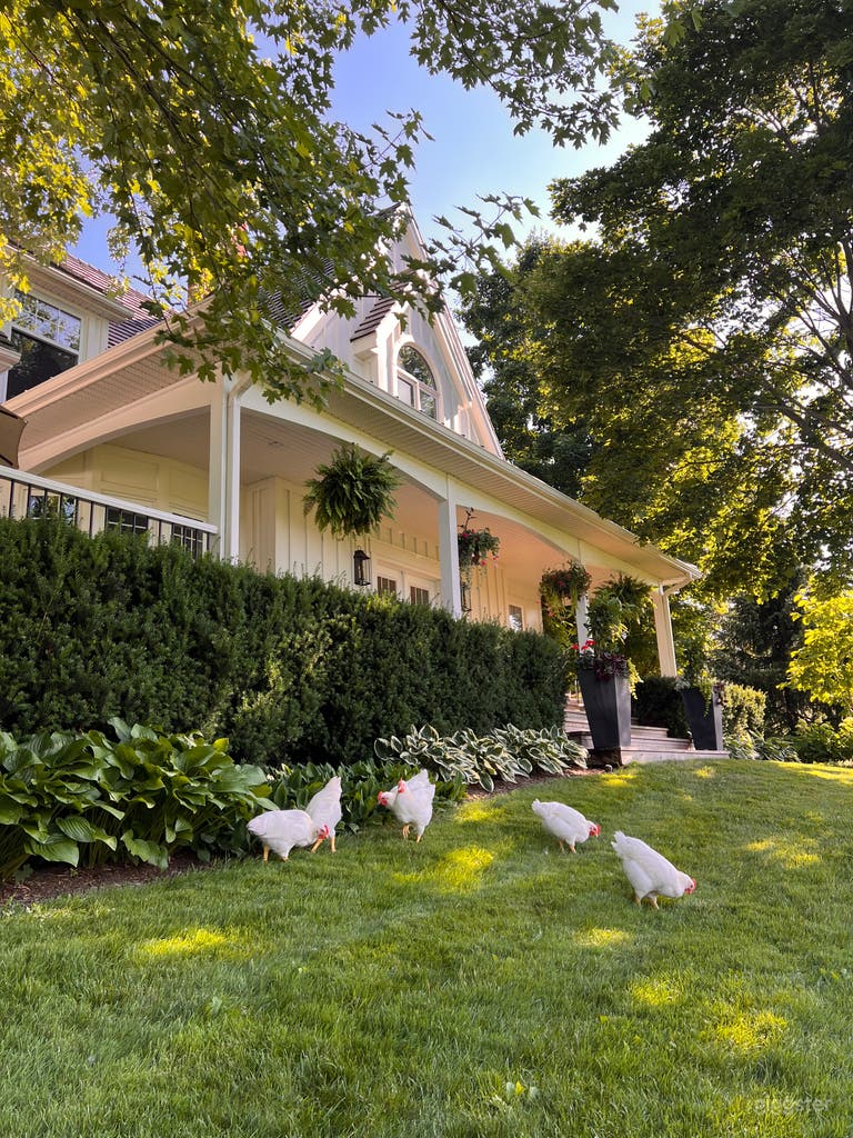  Millgrove country house 