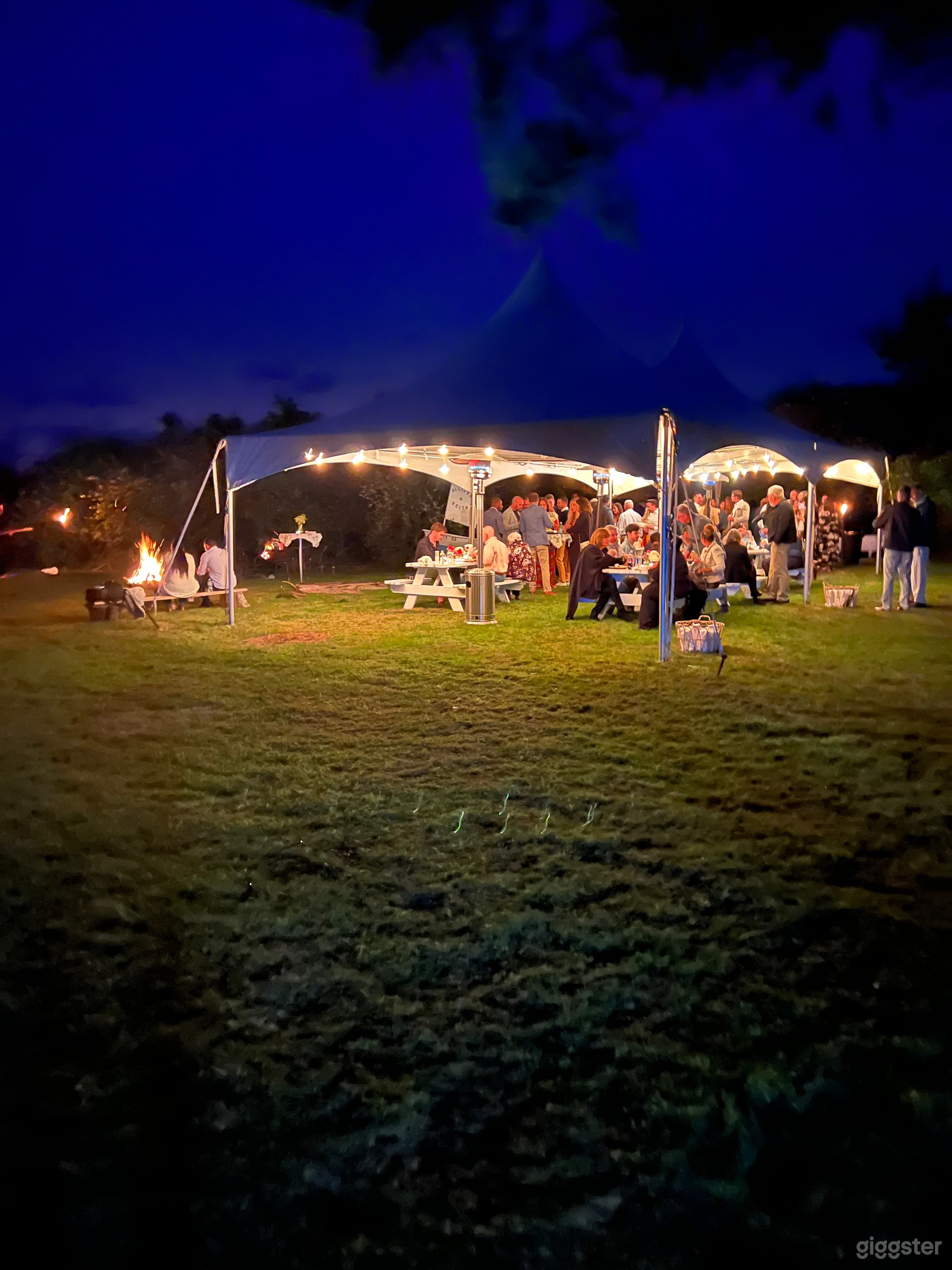 Sundrenched 3BR 1.5BA 2.5 Acre Photo 2