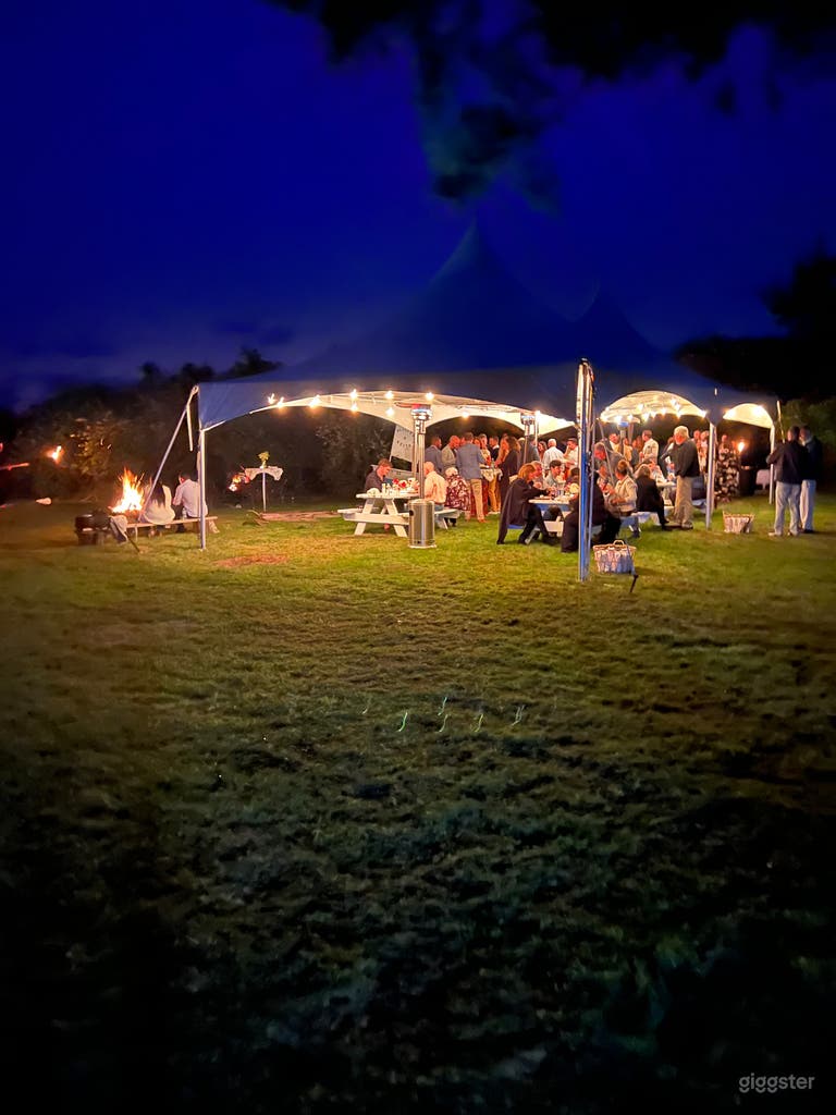  Sundrenched 3BR 1.5BA 2.5 Acre 