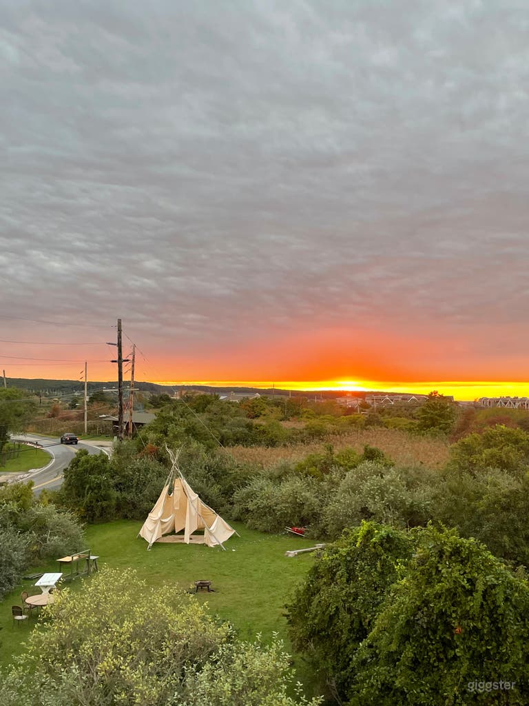  Sundrenched 3BR 1.5BA 2.5 Acre 