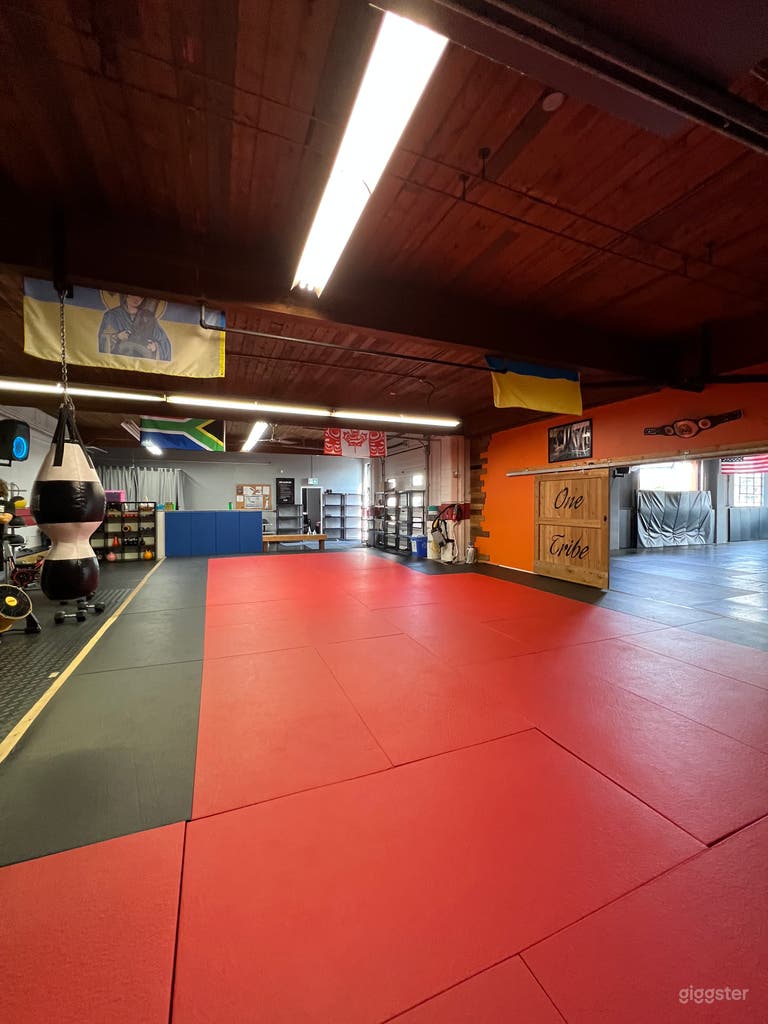  Matted area and flex space equipped with flange and pipe style mounts for easy light and backdrop applications. 