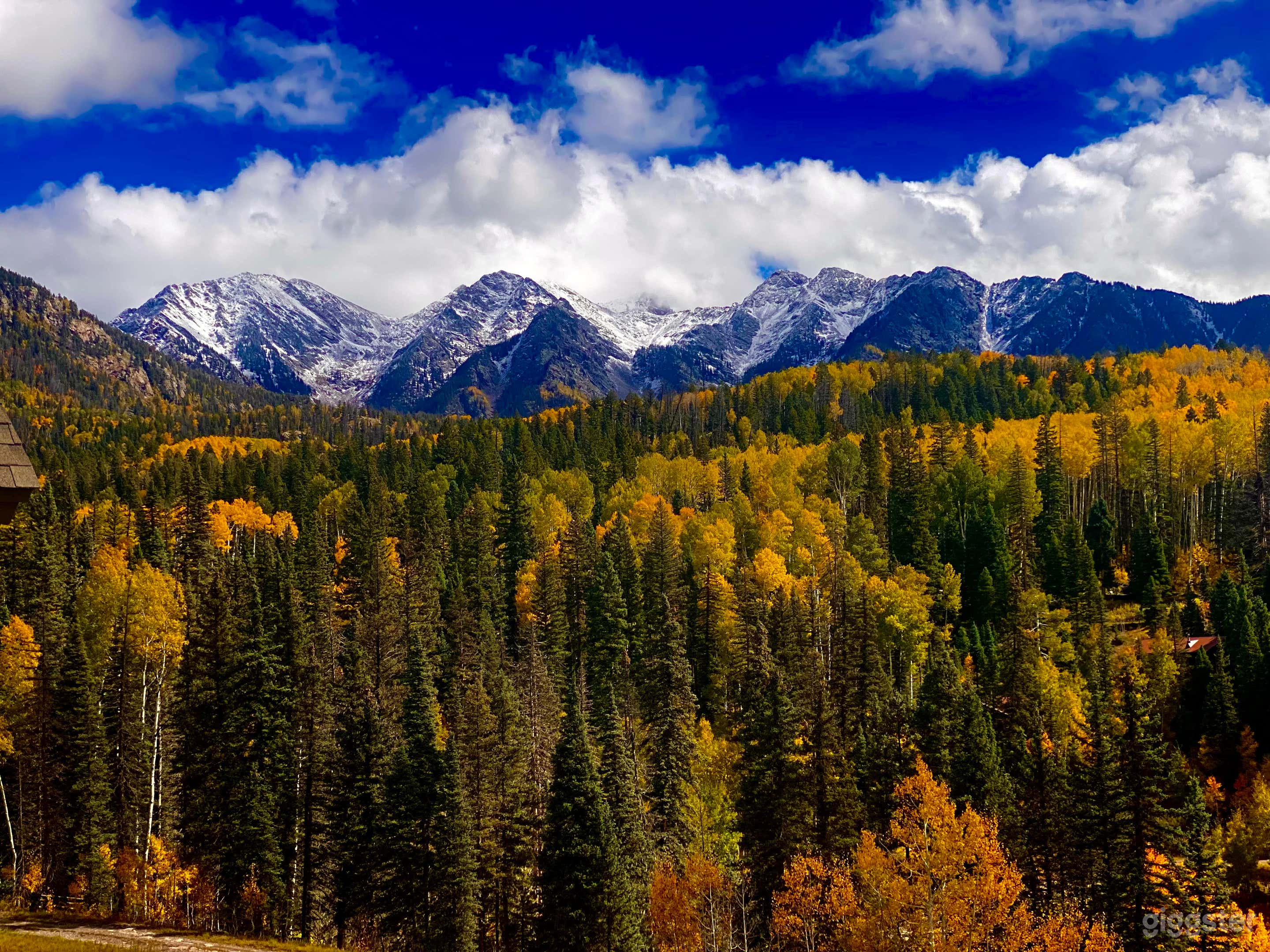 fall view from the balcony