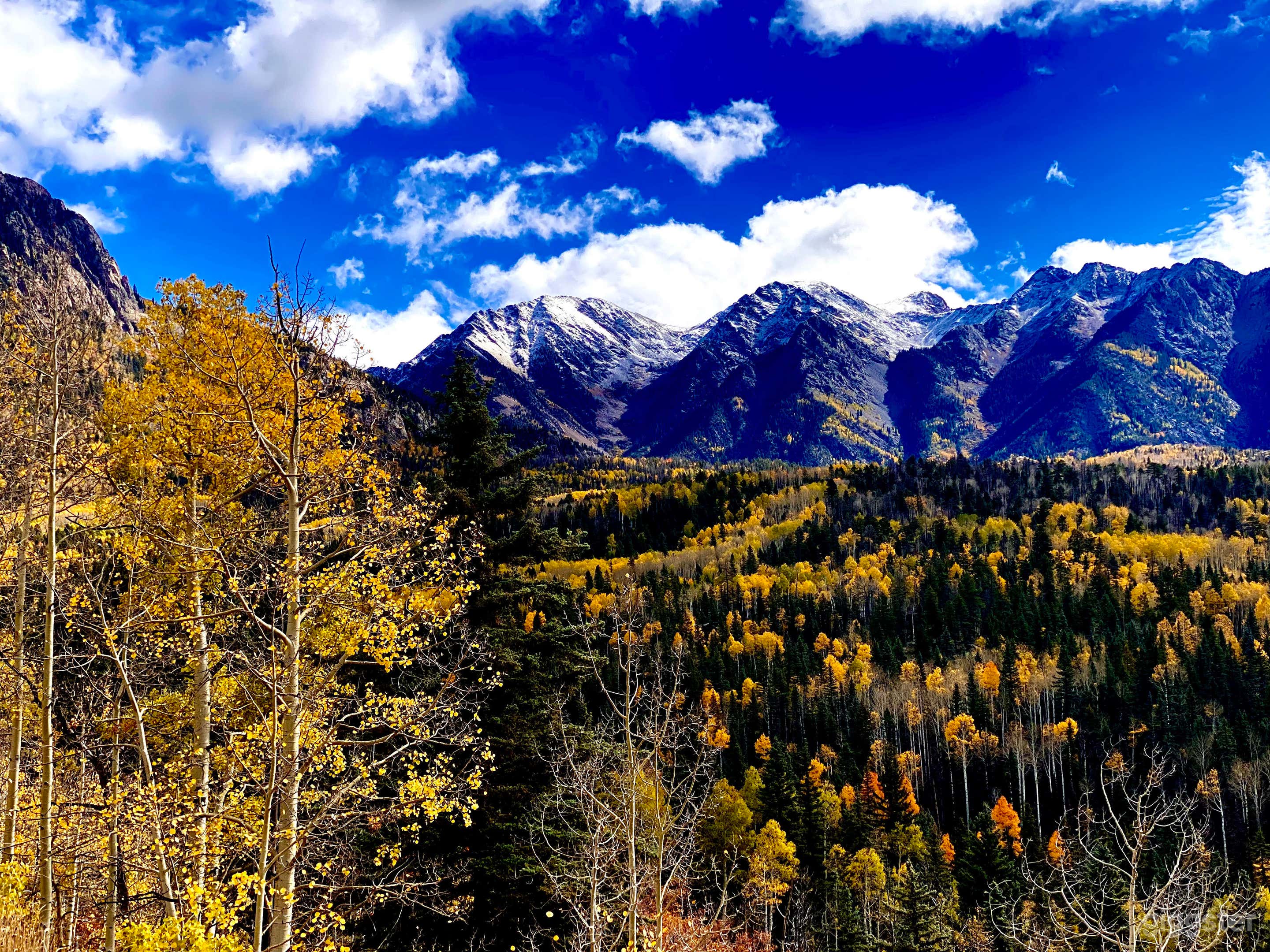 Fall view from the balcony