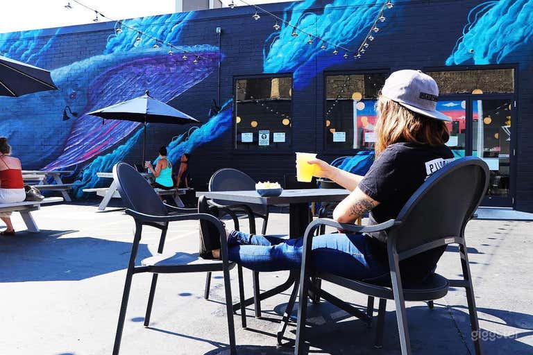  Pilot Project Brewing 