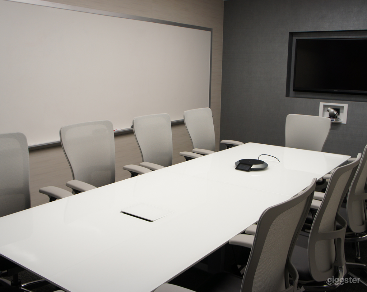 Professional Conference Room for 10 people Photo 2