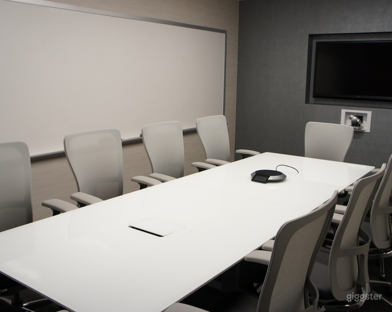  Professional Conference Room for 10 people 
