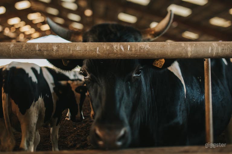  Rural English Manor Farm 