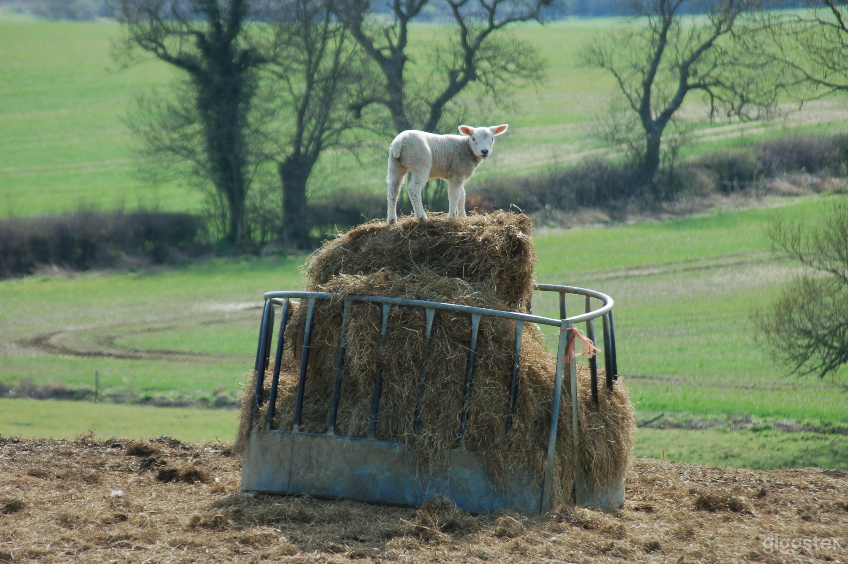 Rural English Manor Farm Photo 1