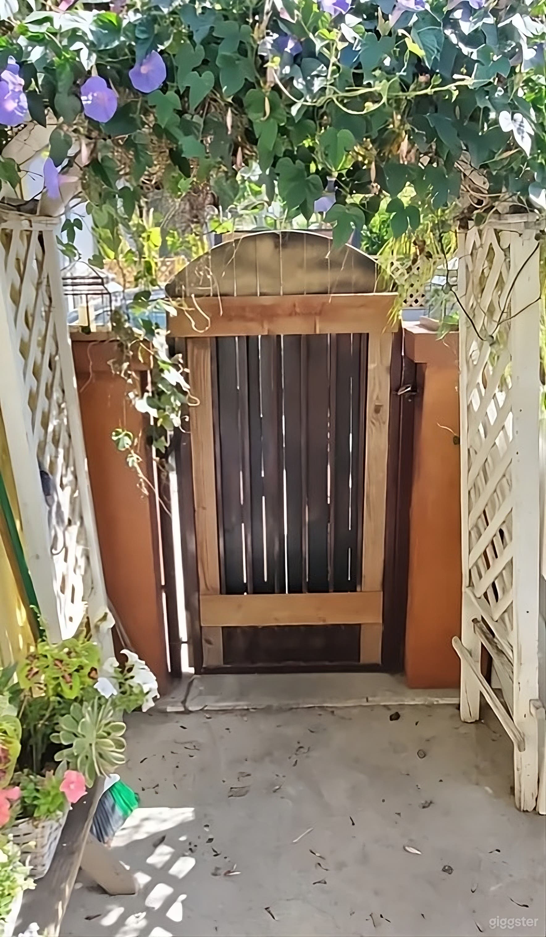 Vibrant &amp; Versatile Backyard Photo 4