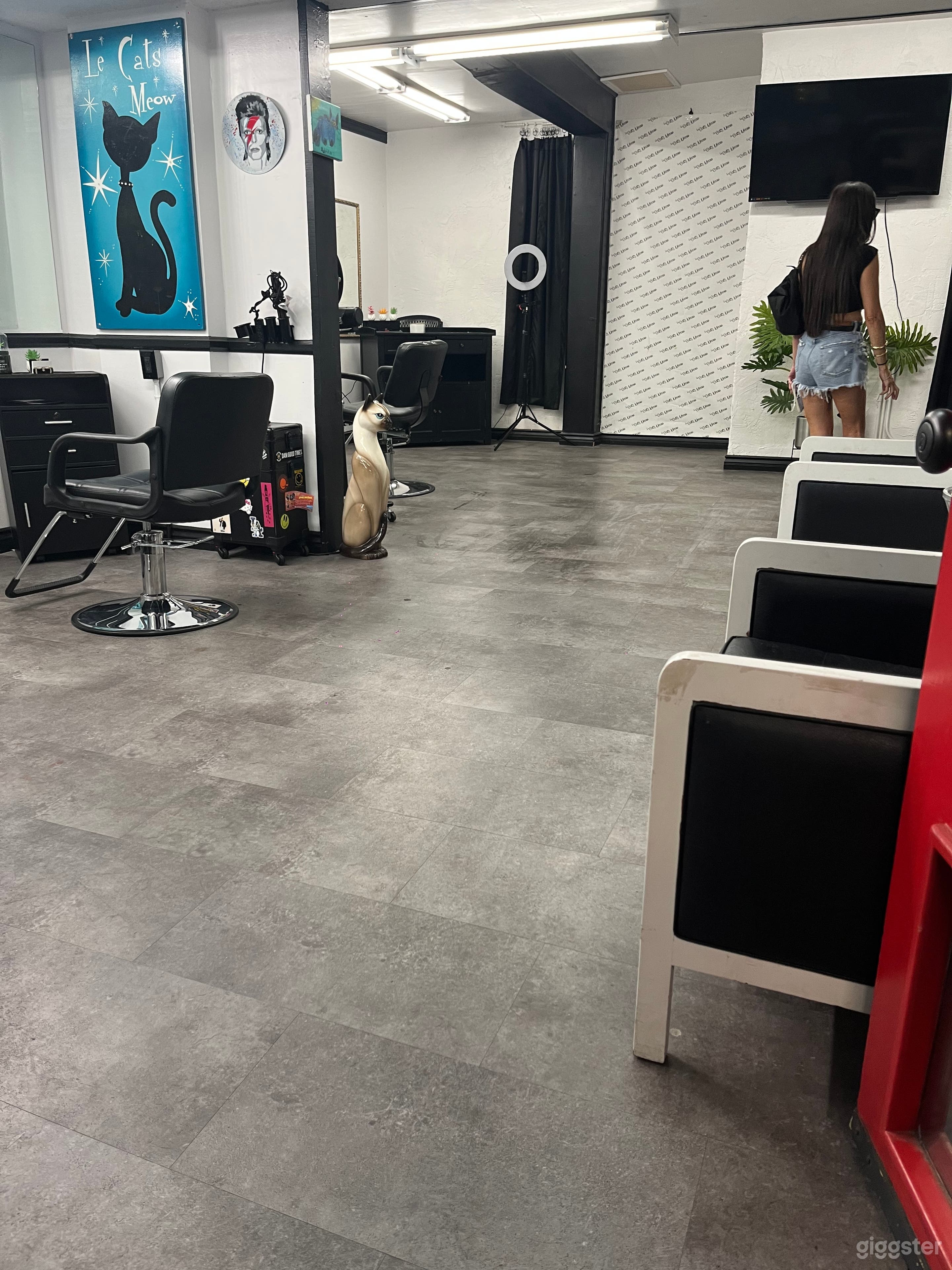 Cozy Salon for Shoots Photo 3