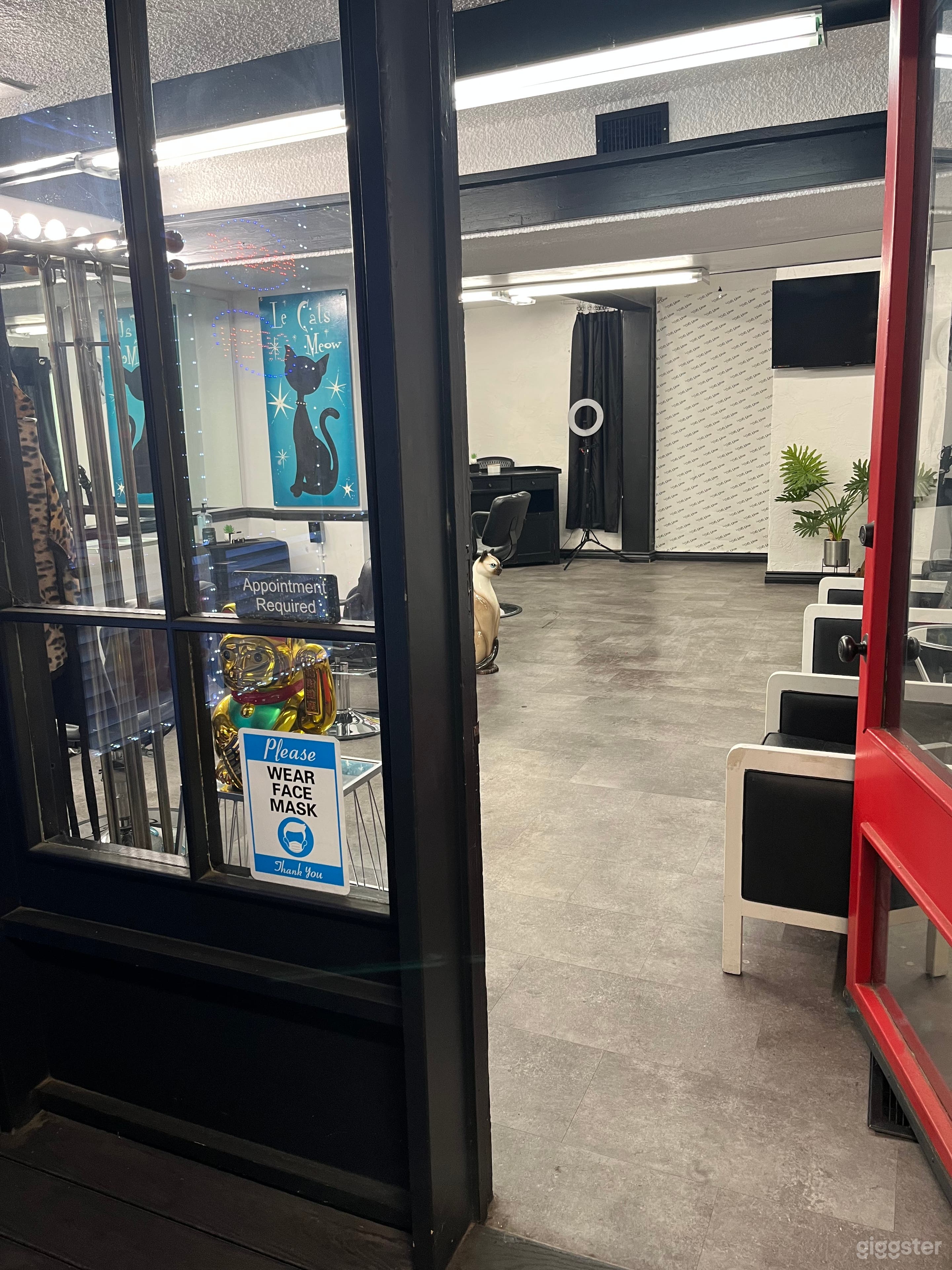 Cozy Salon for Shoots Photo 4