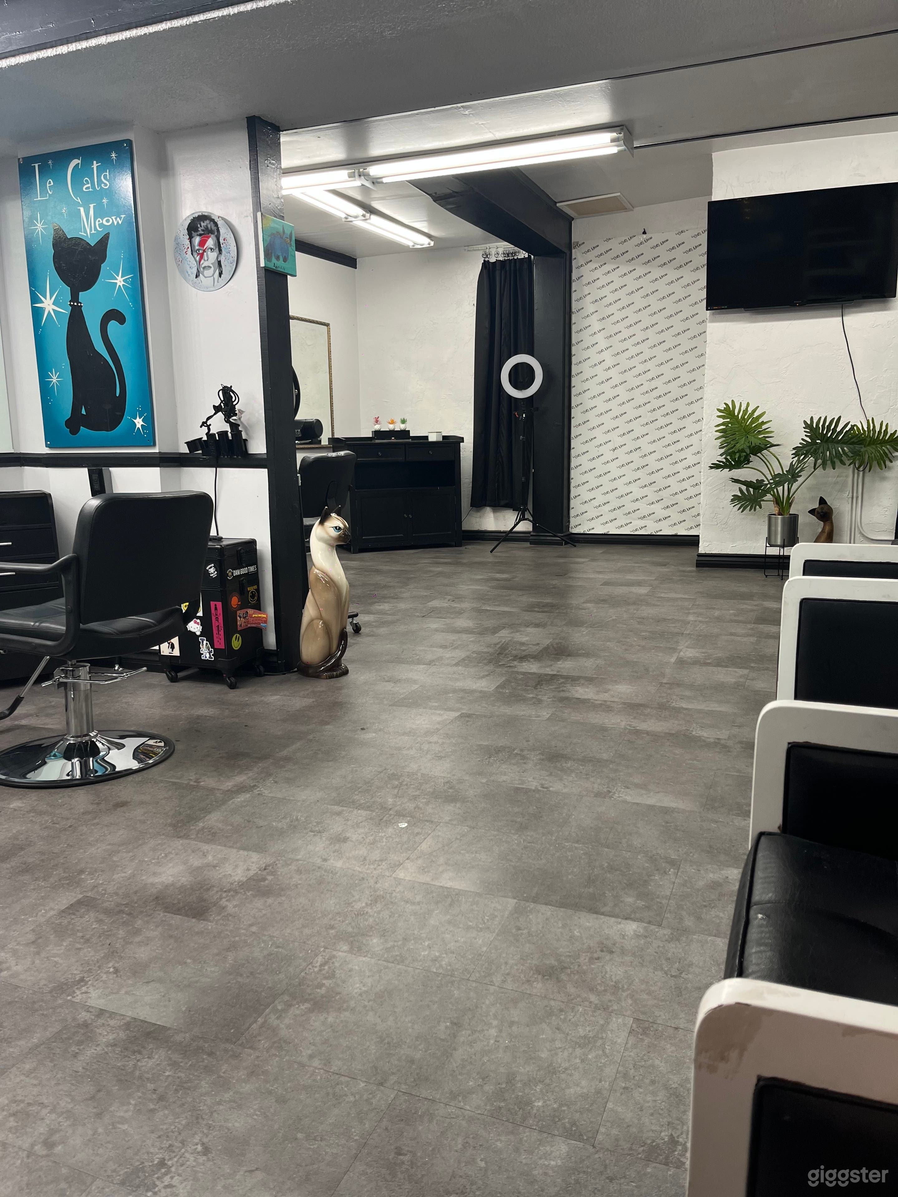 Cozy Salon for Shoots Photo 2