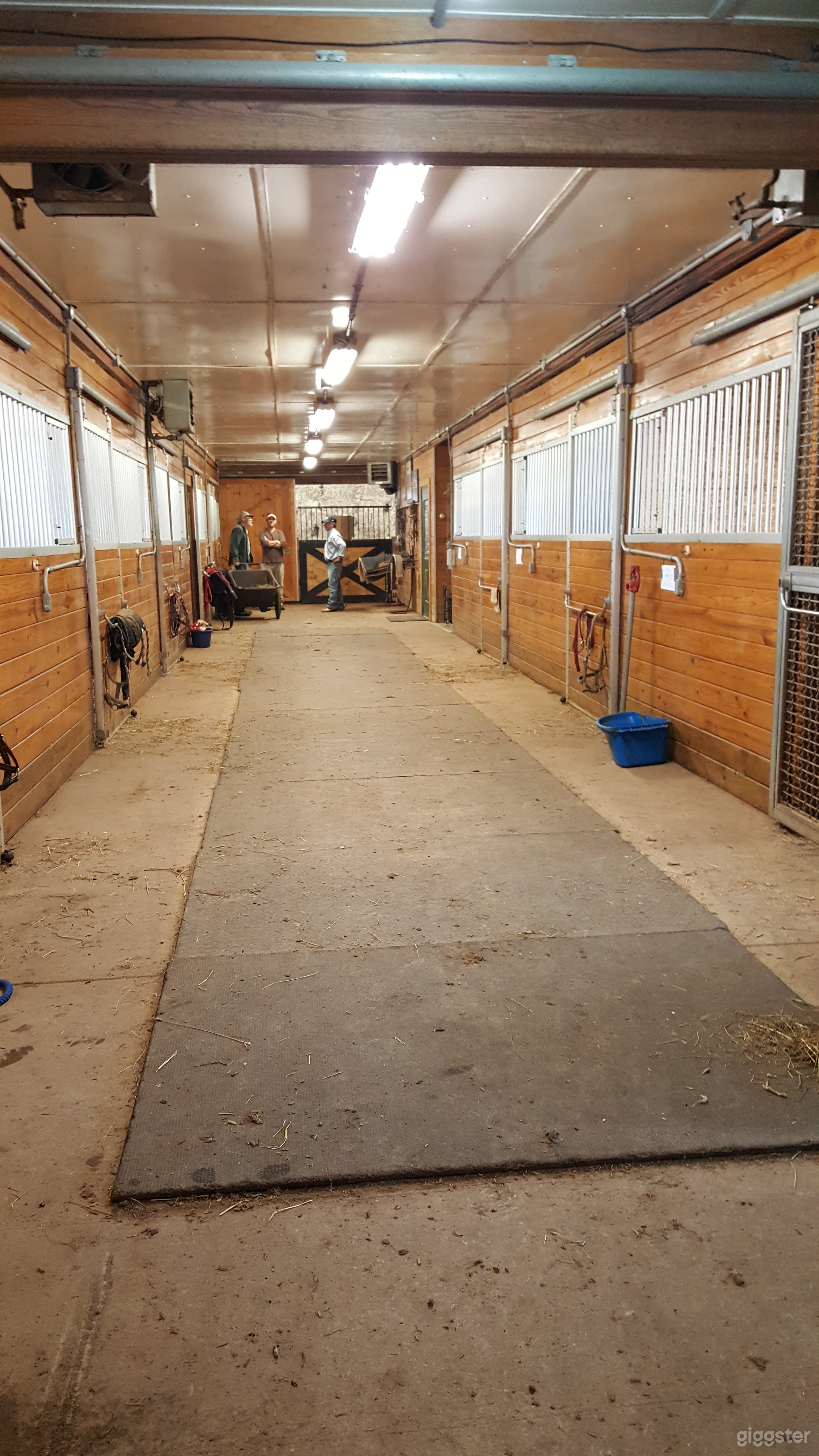 Cazabu Farms Photo 4